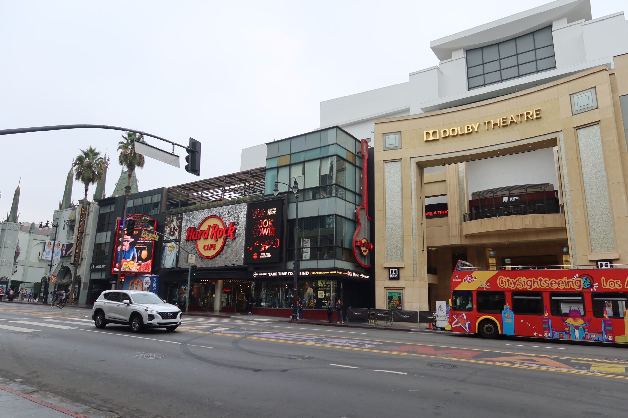 Hollywood Boulevard in Los Angeles featuring the Dolby Theatre entrance, Hard Rock Cafe, palm trees, and a City Sightseeing tour bus driving past the iconic Hollywood Walk of Fame area.