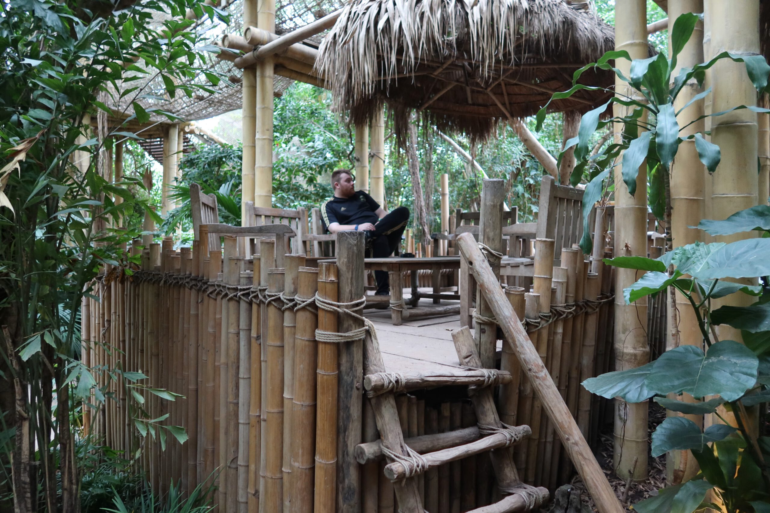 Timo van den Berg relaxing in a bamboo cabana inside the Center Parcs Het Heijderbos Jungle Dome, surrounded by tropical plants and wooden structures in Limburg, The Netherlands.