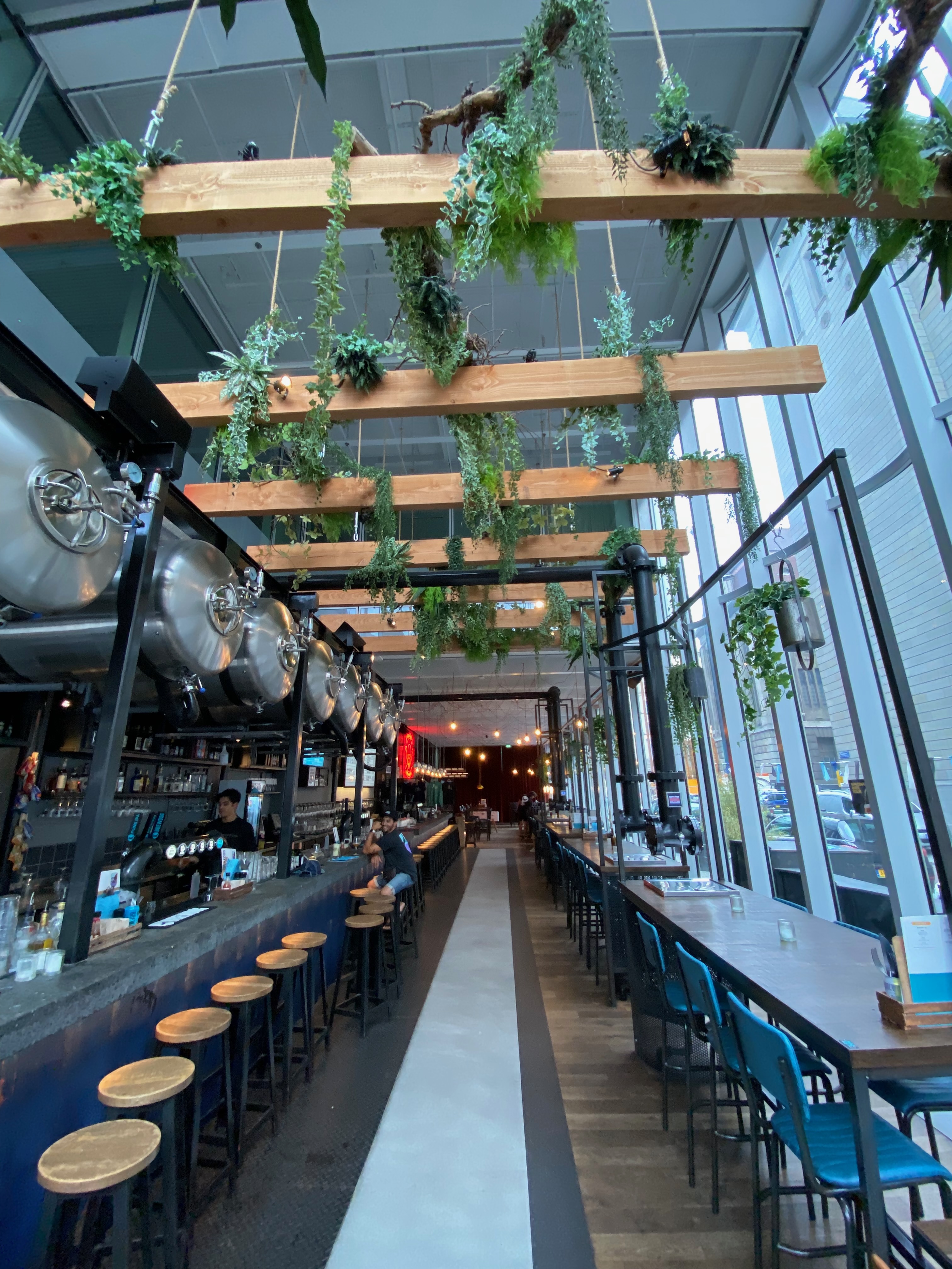 BrewDog Outpost Rotterdam Review showing the original Halvemaanpassage bar interior with long bar counter hanging plants brewery tanks high windows tables and craft beer pub atmosphere