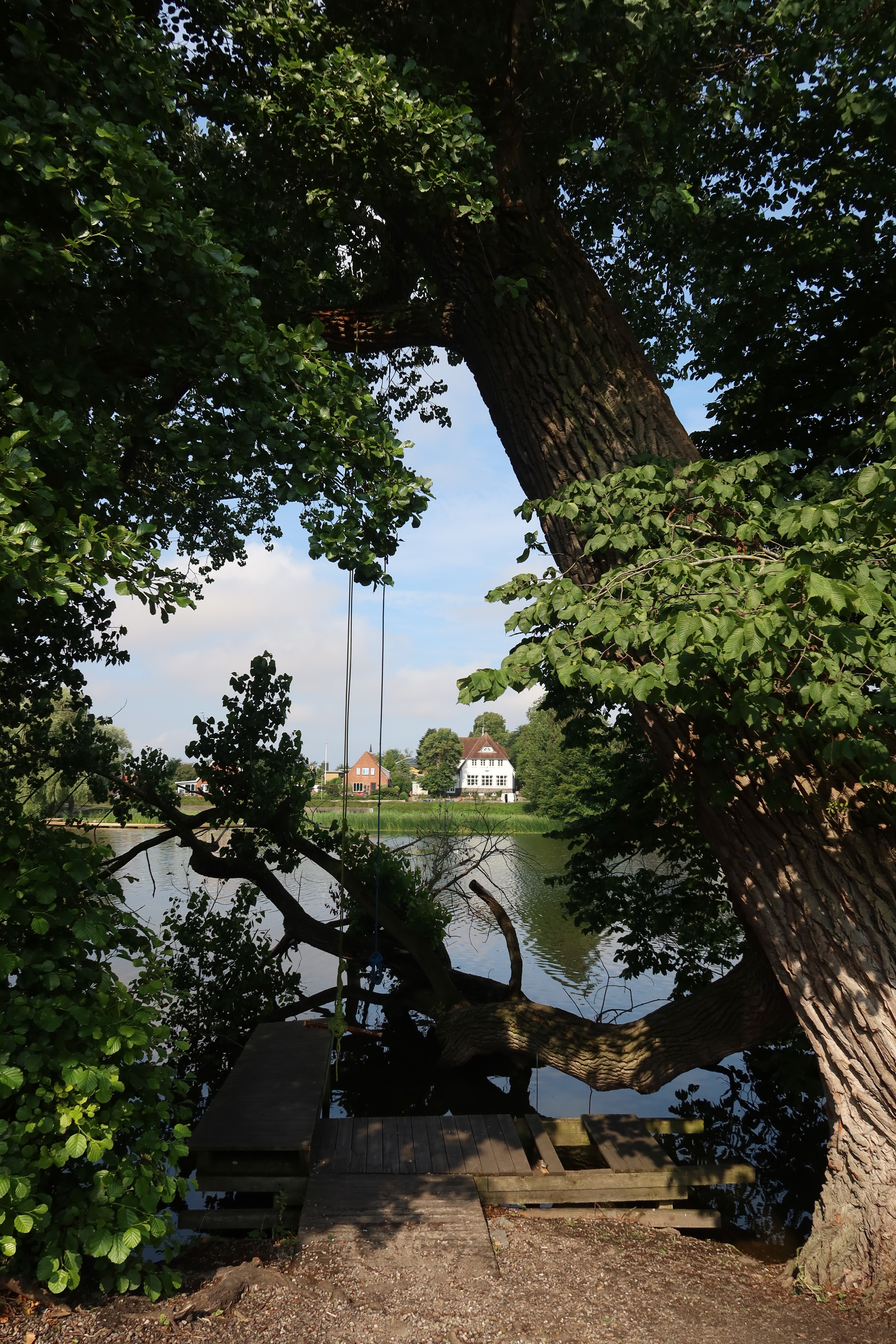 Nordborg Slot lake view with large tree wooden platform rope swing and quiet water in Nordborg Denmark