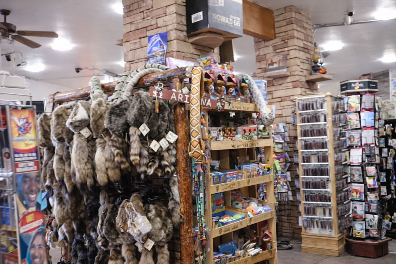 Interior of an Arizona souvenir shop with a rustic display of animal pelts hanging under an “Arizona” sign, wooden shelves filled with Route 66–themed gifts and snacks, and rotating racks with postcards and souvenirs in a brightly lit store Shell 93 Lewis Ave Ash Fork AZ.