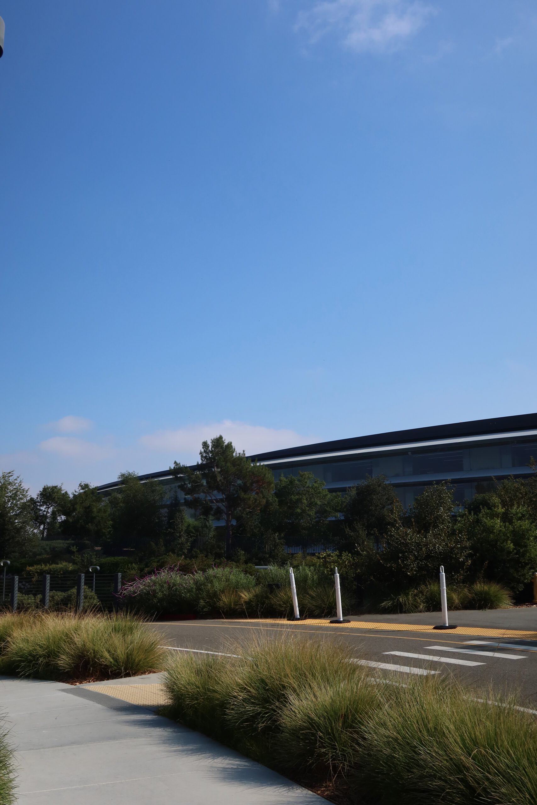 Exterior view of Apple Park headquarters in Cupertino, seen from the street with landscaped greenery, trees, and the iconic circular Apple campus partially visible behind privacy barriers.