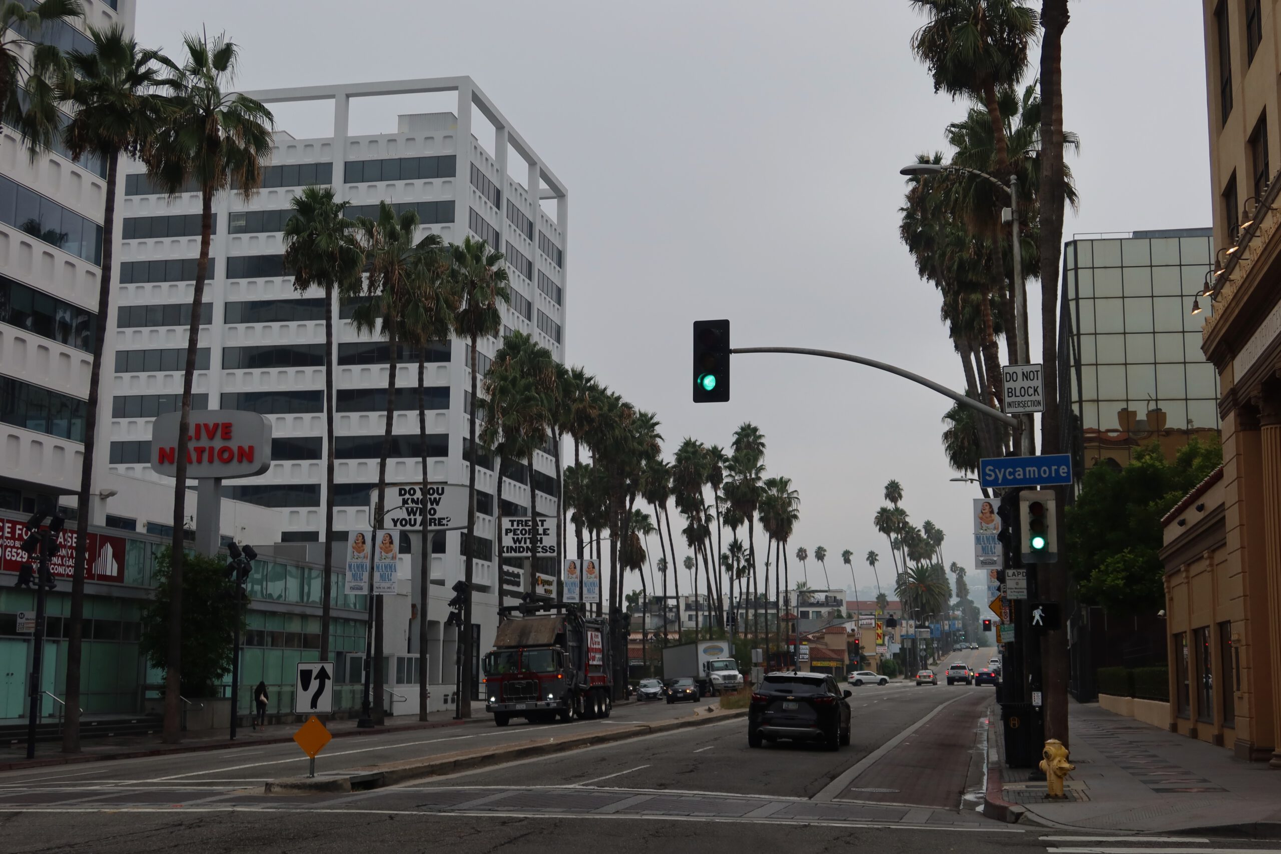 Hollywood Boulevard intersection in Los Angeles with tall palm trees, city traffic, and Sycamore Street sign, showing a calm morning atmosphere in the heart of Hollywood.