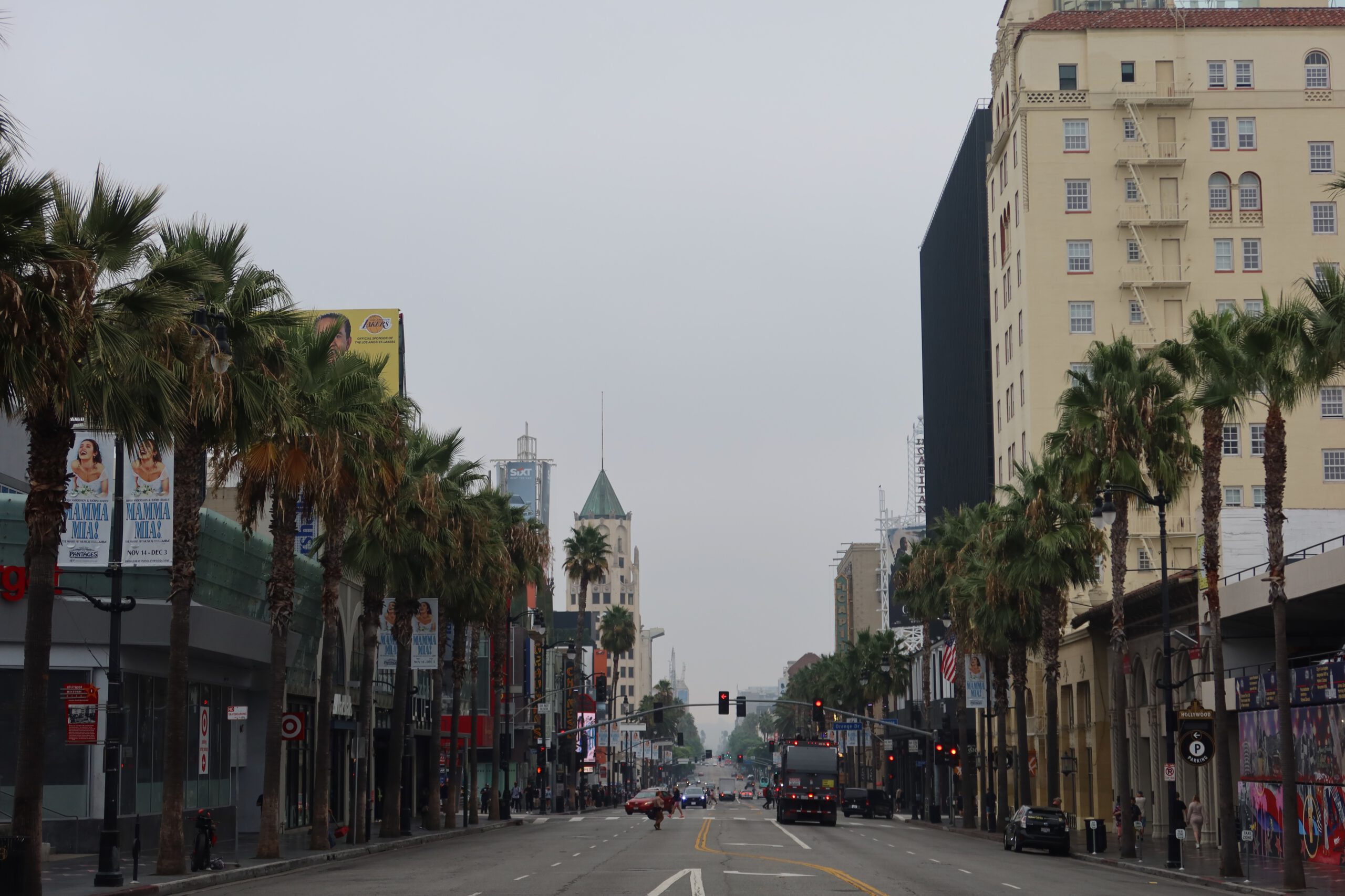 Wide view of Hollywood Boulevard in Los Angeles lined with palm trees, classic buildings, traffic lights, and light morning traffic stretching through the iconic entertainment district.