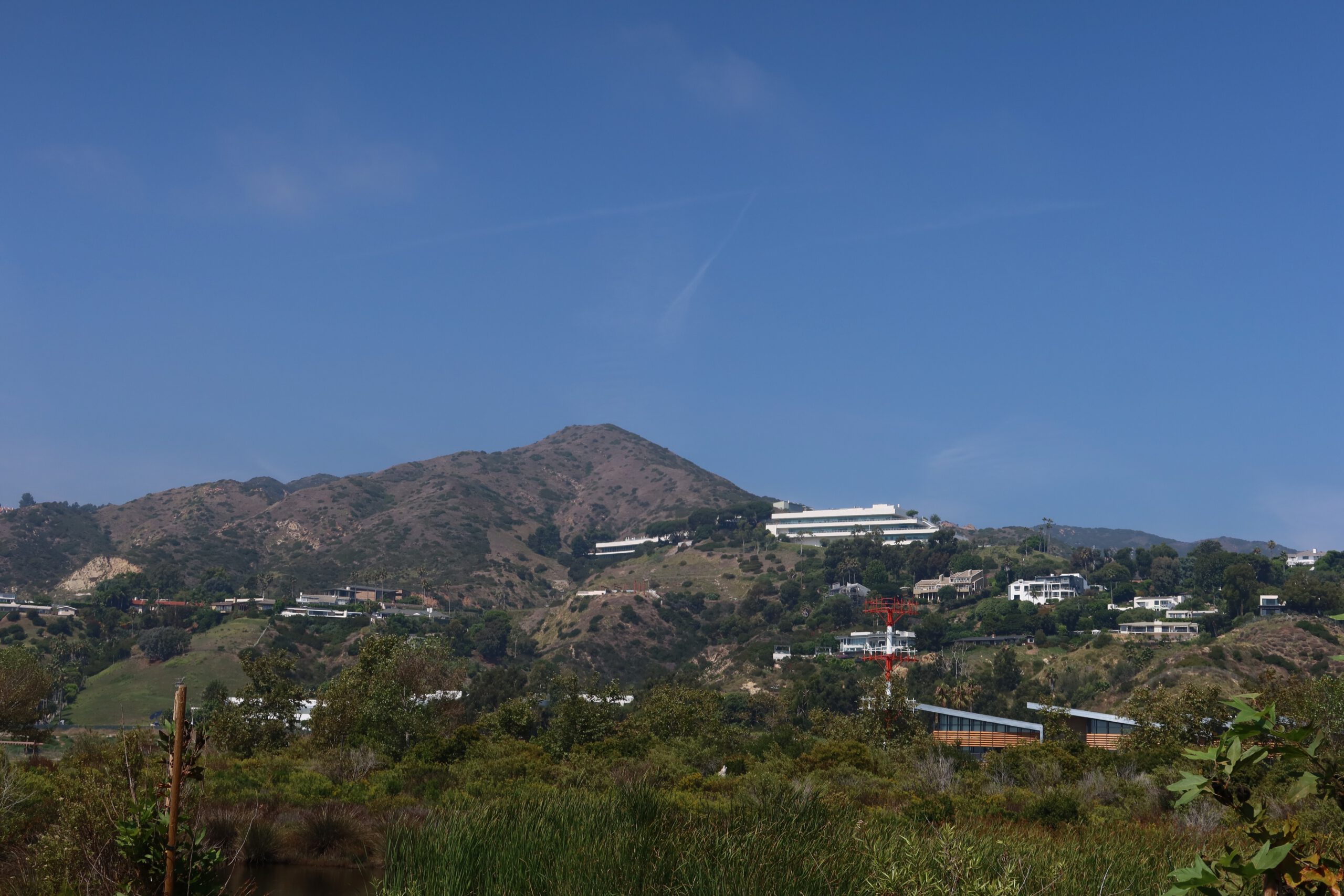 View of Malibu hills and wetlands near Malibu Lagoon with native vegetation and clear blue sky
