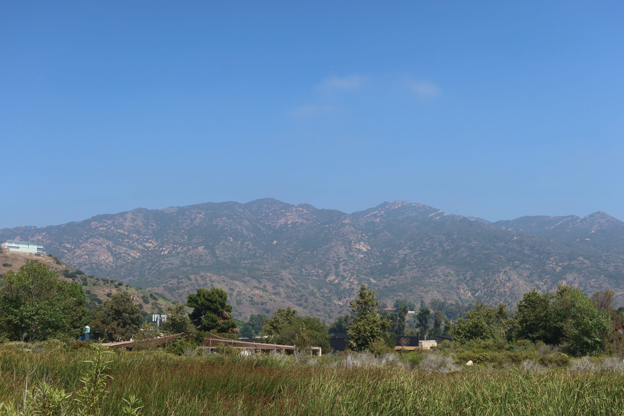 Mountain backdrop behind Legacy Park in Malibu, California with coastal greenery