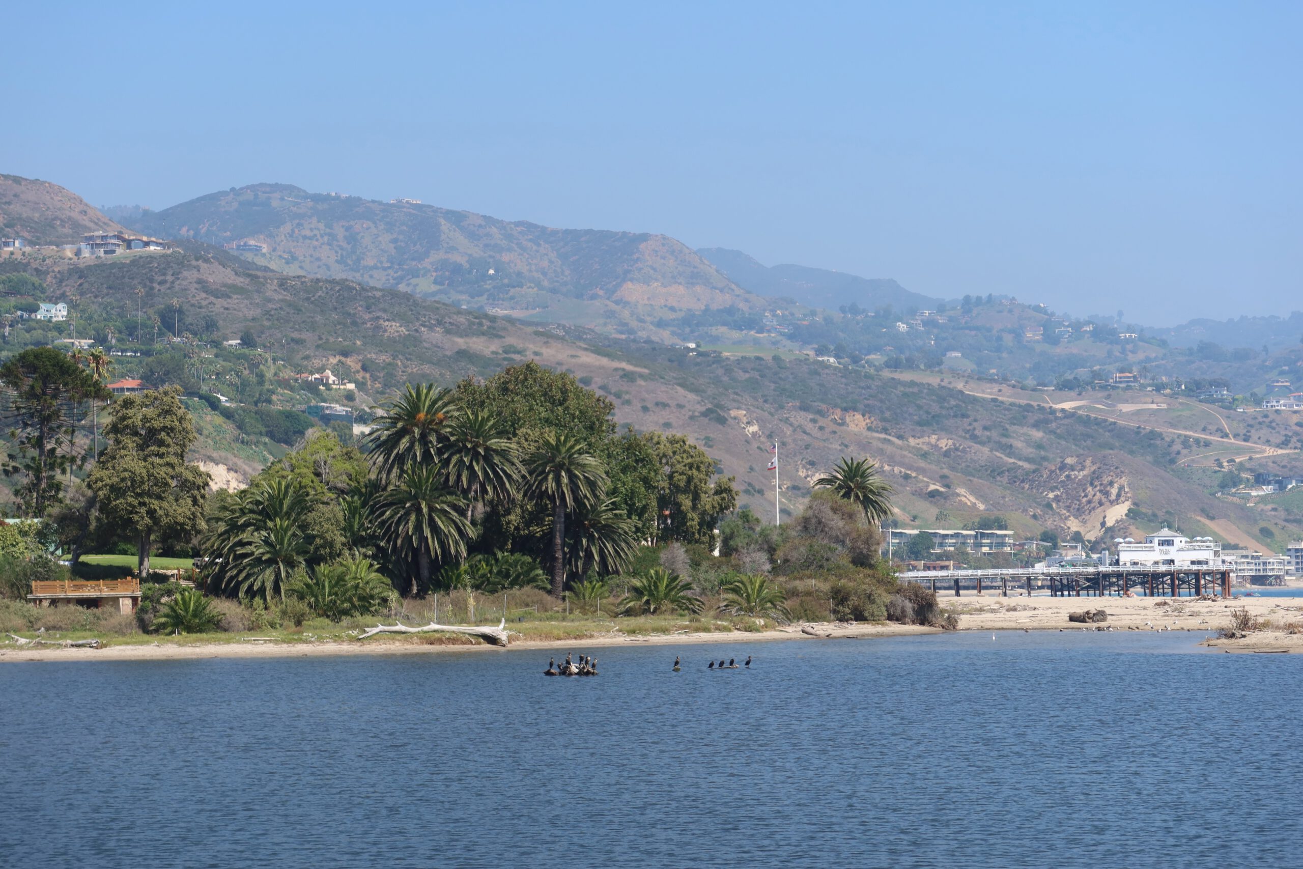 Malibu Lagoon landscape featuring shallow water with birds resting on a sandbar, lush greenery with California fan palm trees (Washingtonia filifera), distant Malibu hills, and the Malibu Pier visible in the background on a sunny day.