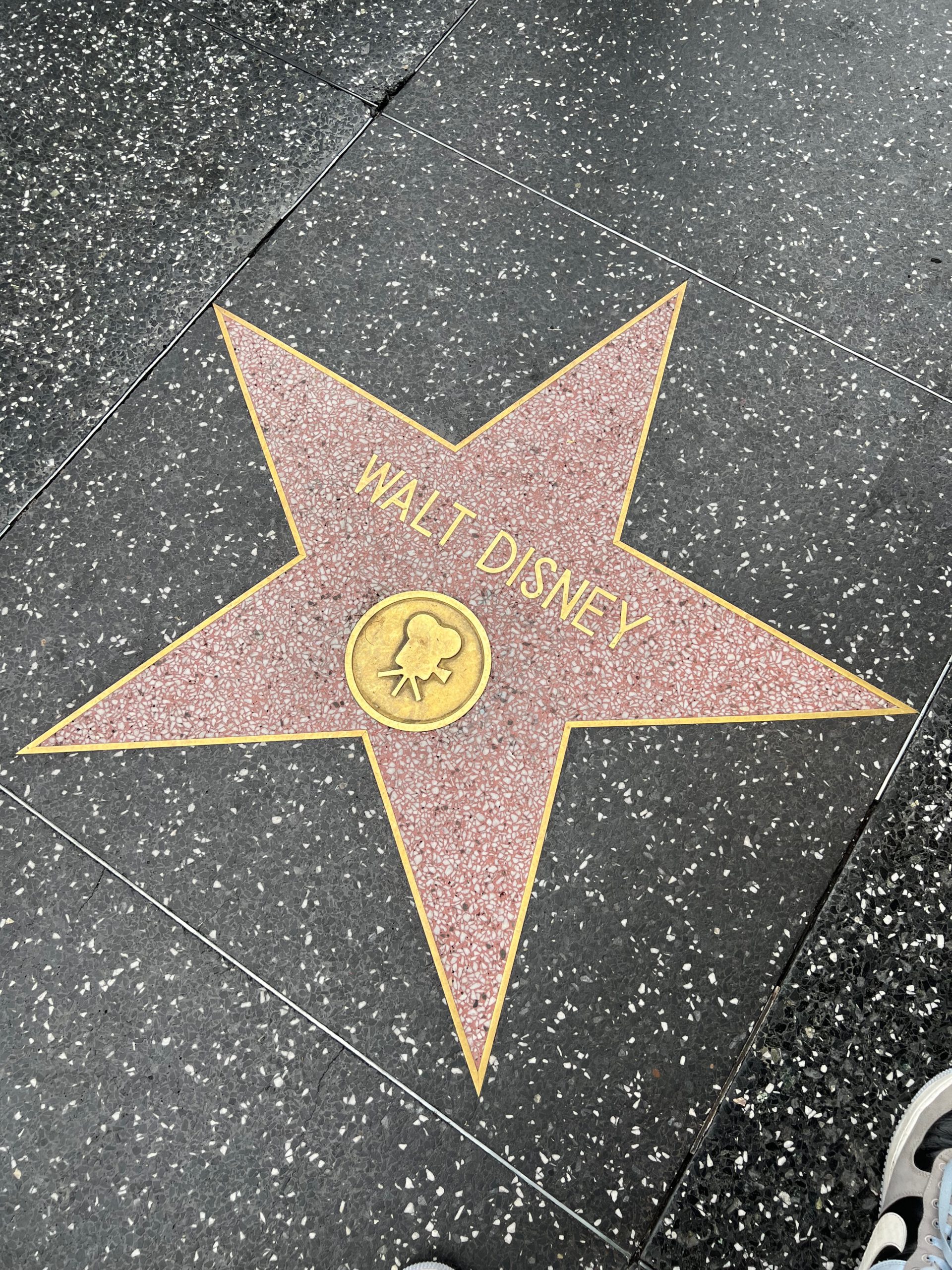 Walt Disney’s star on the Hollywood Walk of Fame in Los Angeles, featuring the motion picture icon on the iconic Hollywood Boulevard sidewalk.