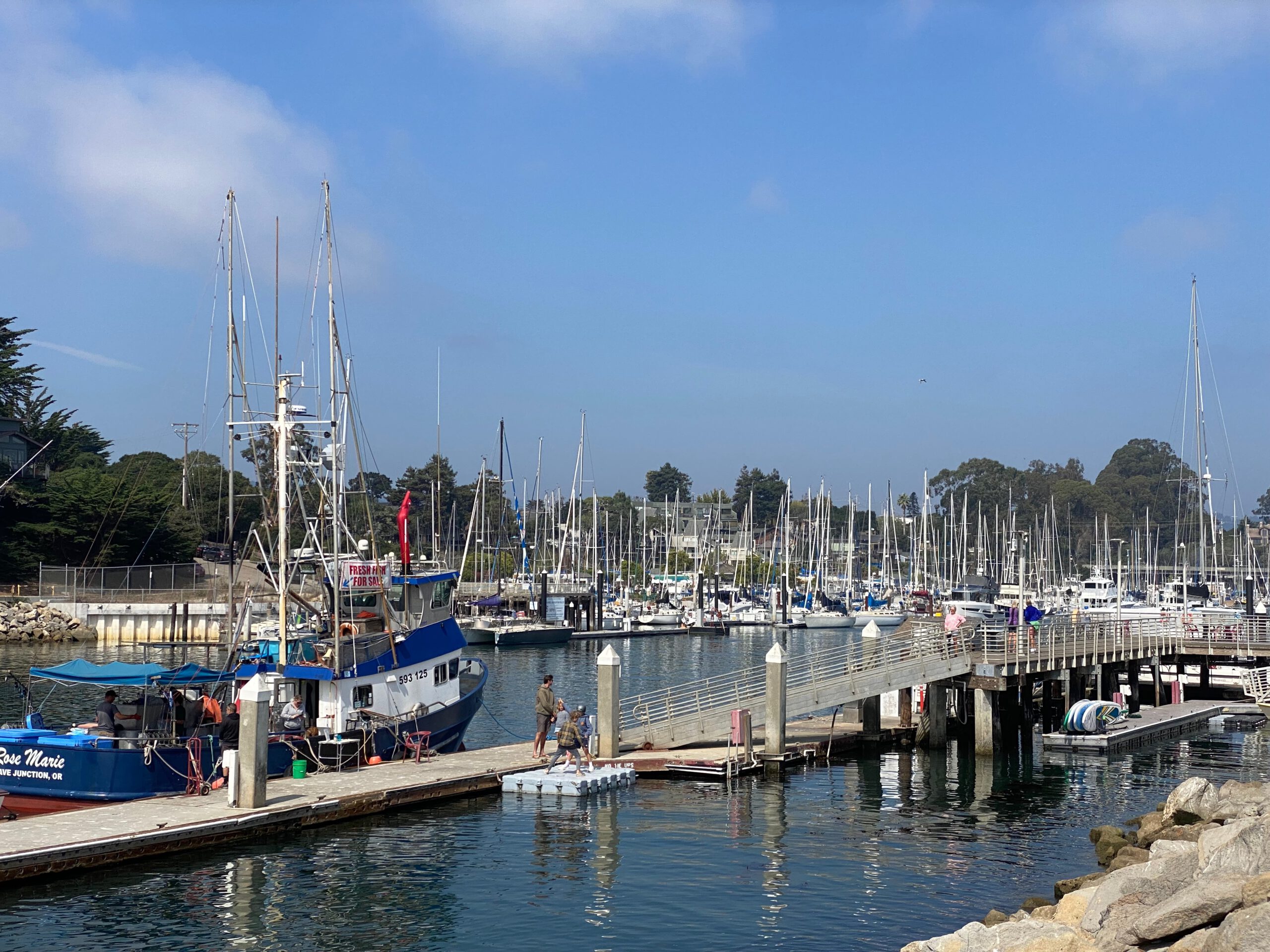 Santa Cruz Harbor near Twin Lakes State Beach with fishing boats, sailboats, and a busy marina under a clear blue California sky