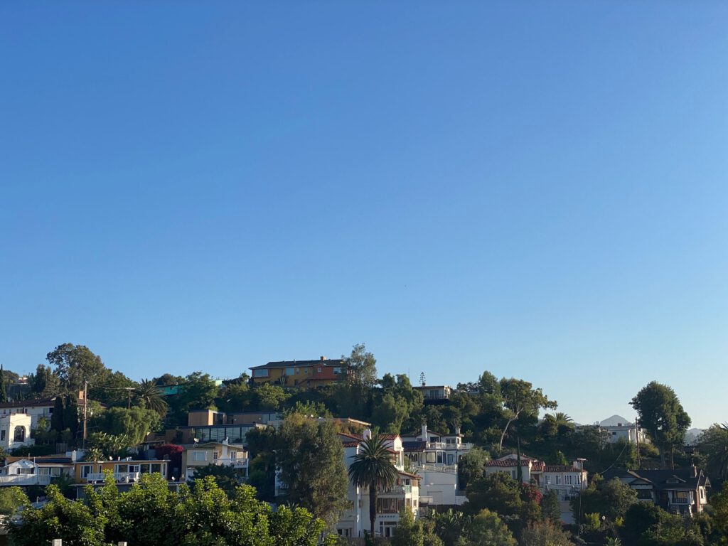 Residential homes in the Hollywood Hills surrounded by trees and palm trees, photographed from an elevated viewpoint under a clear blue sky.
