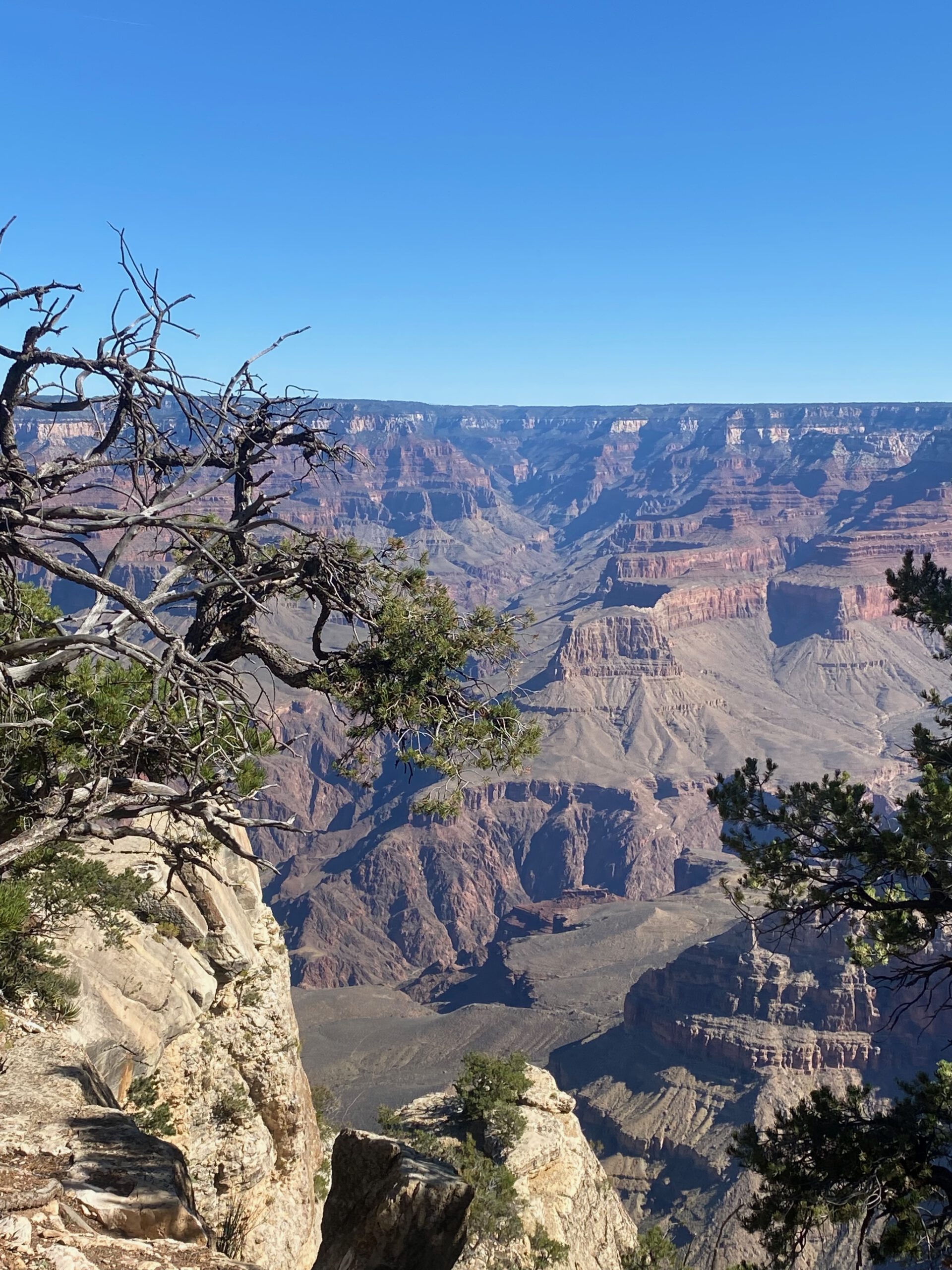 Panoramic view of the Grand Canyon showcasing dramatic cliffs, rugged terrain, and expansive canyon views