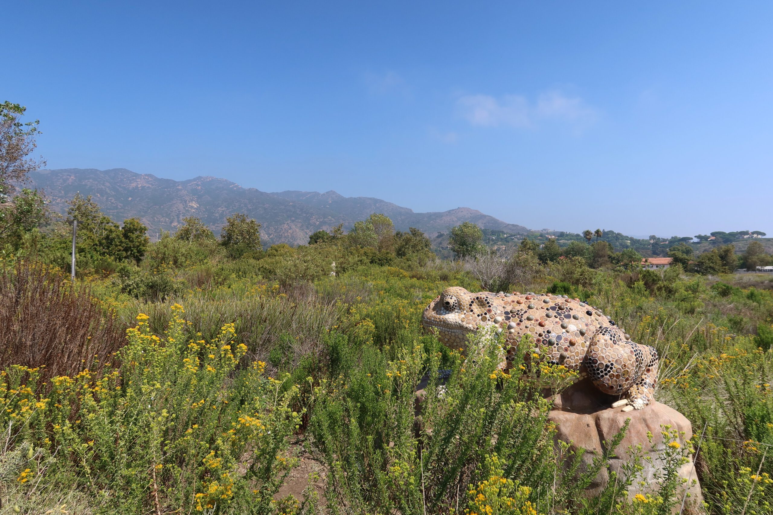Mosaic lizard sculpture in Legacy Park, Malibu, California surrounded by wildflowers and coastal hills