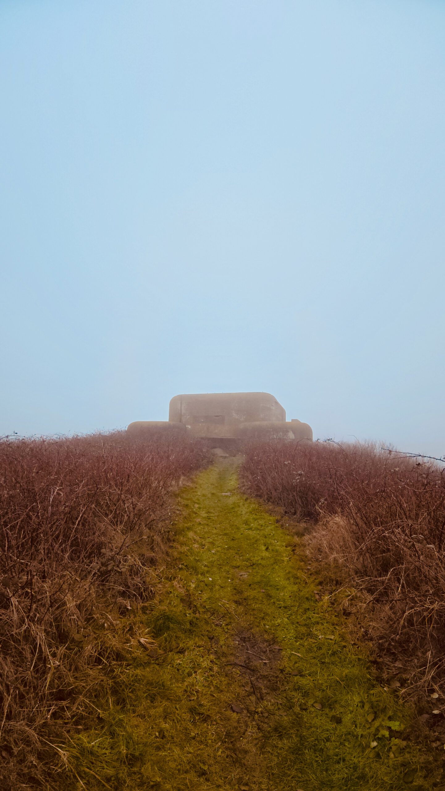 Walking Kornwerderzand toward a World War II bunker, overgrown green path and silent winter landscape on the Afsluitdijk