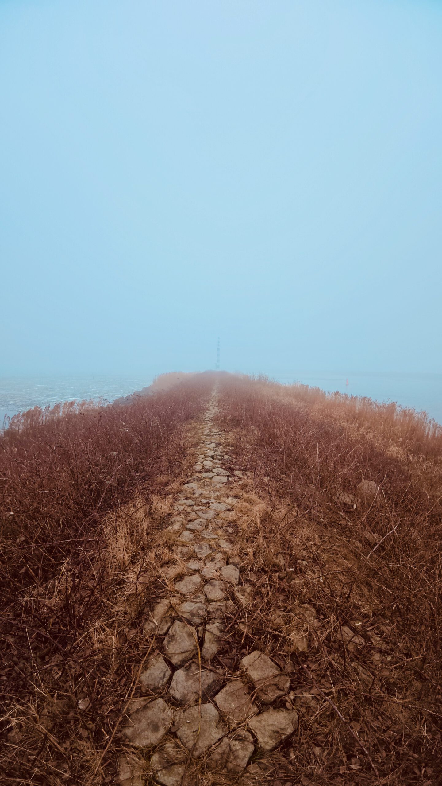 Walking Kornwerderzand along a narrow stone path disappearing into fog, remote Afsluitdijk winter walk surrounded by dry vegetation