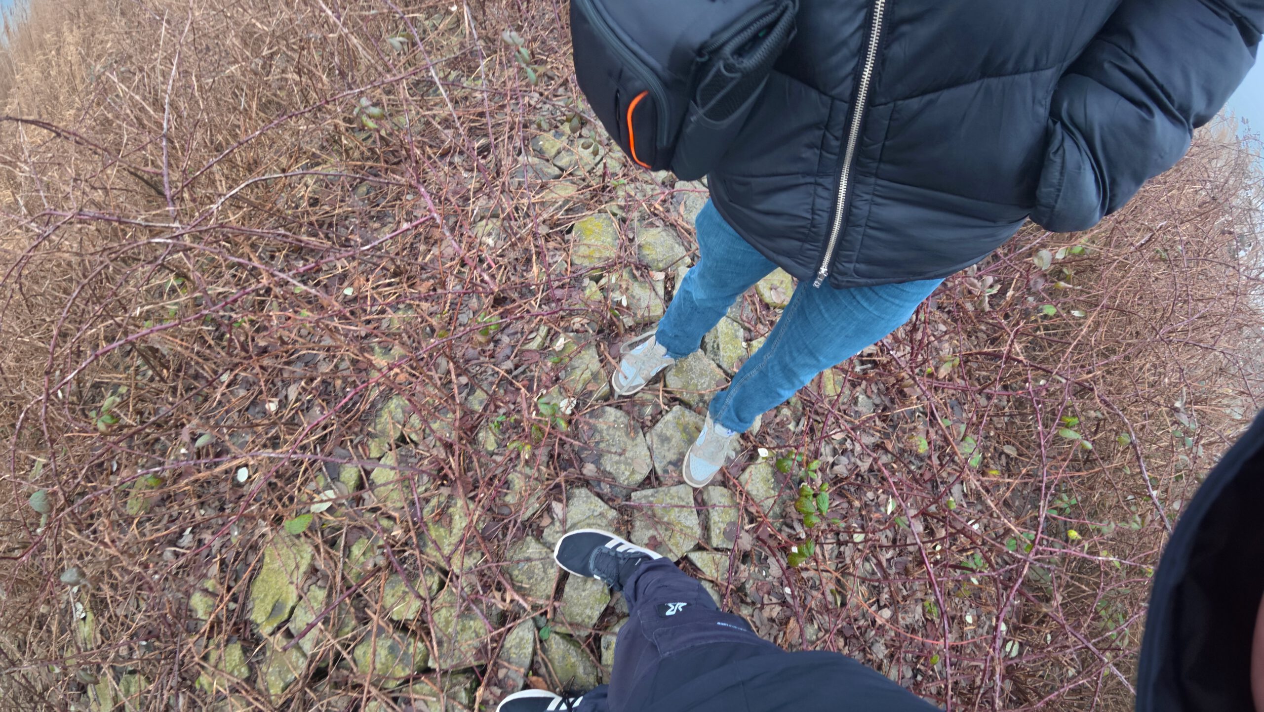 Walking Kornwerderzand on an overgrown stone path, damaged shoelaces caused by rough terrain during a winter walk on the Afsluitdijk