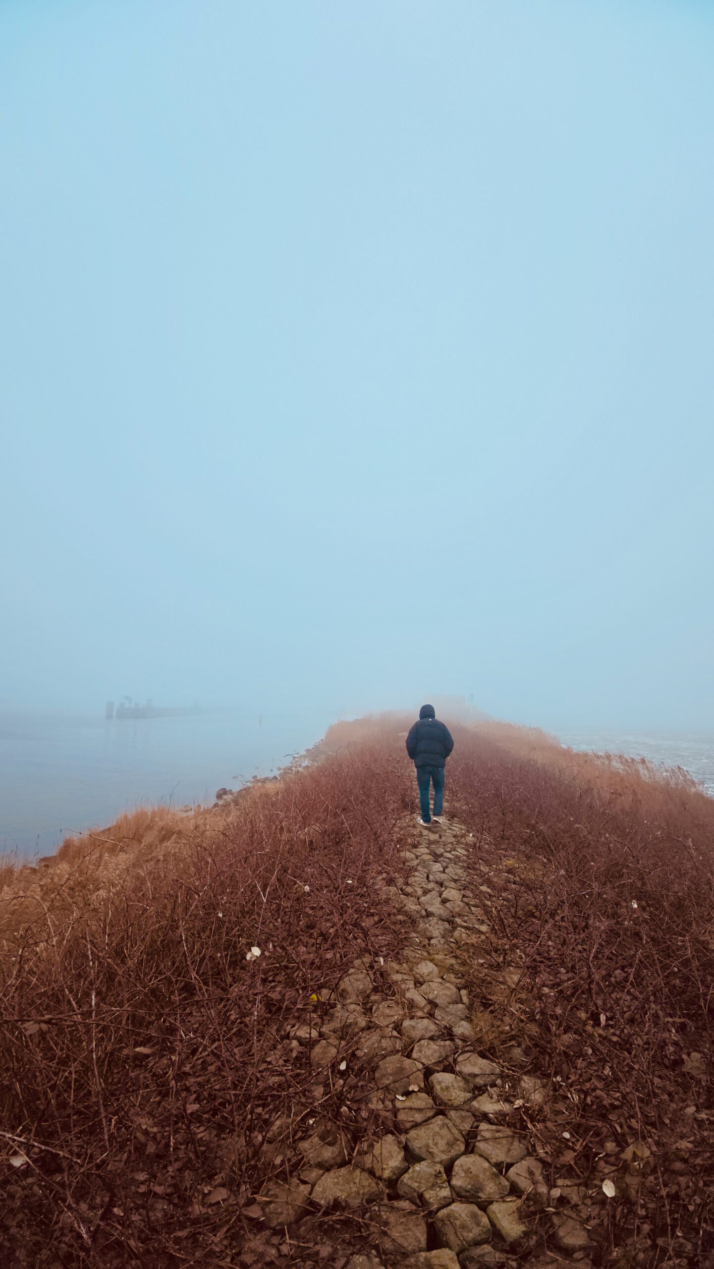 Walking Kornwerderzand along the stone path toward the lighthouse, solitary figure surrounded by fog, water and winter vegetation