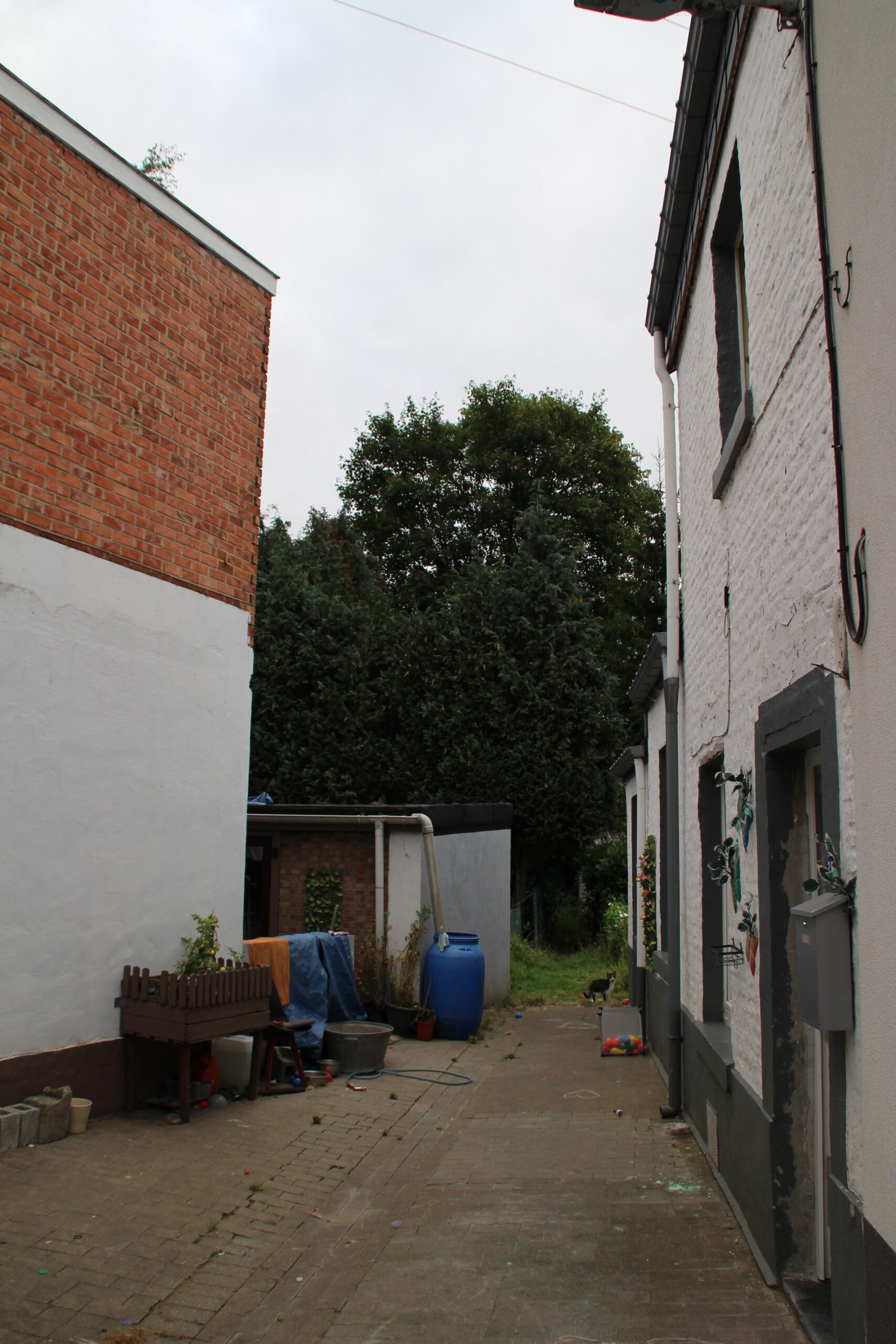 Le cocon de Chênée Liège surroundings, narrow courtyard and alley next to the accommodation with residential buildings