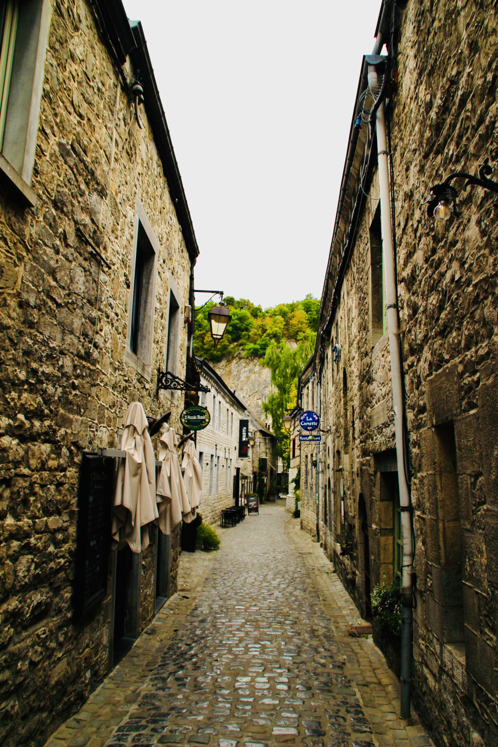 Durbuy travel experience walking through a narrow cobblestone street surrounded by historic stone houses in the old town