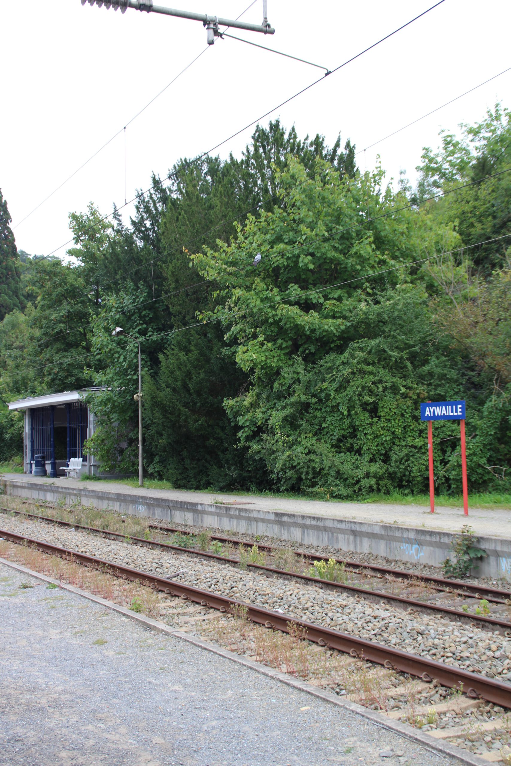 Aywaille Market location next to Aywaille train station, featuring the station sign, platforms and nearby greenery