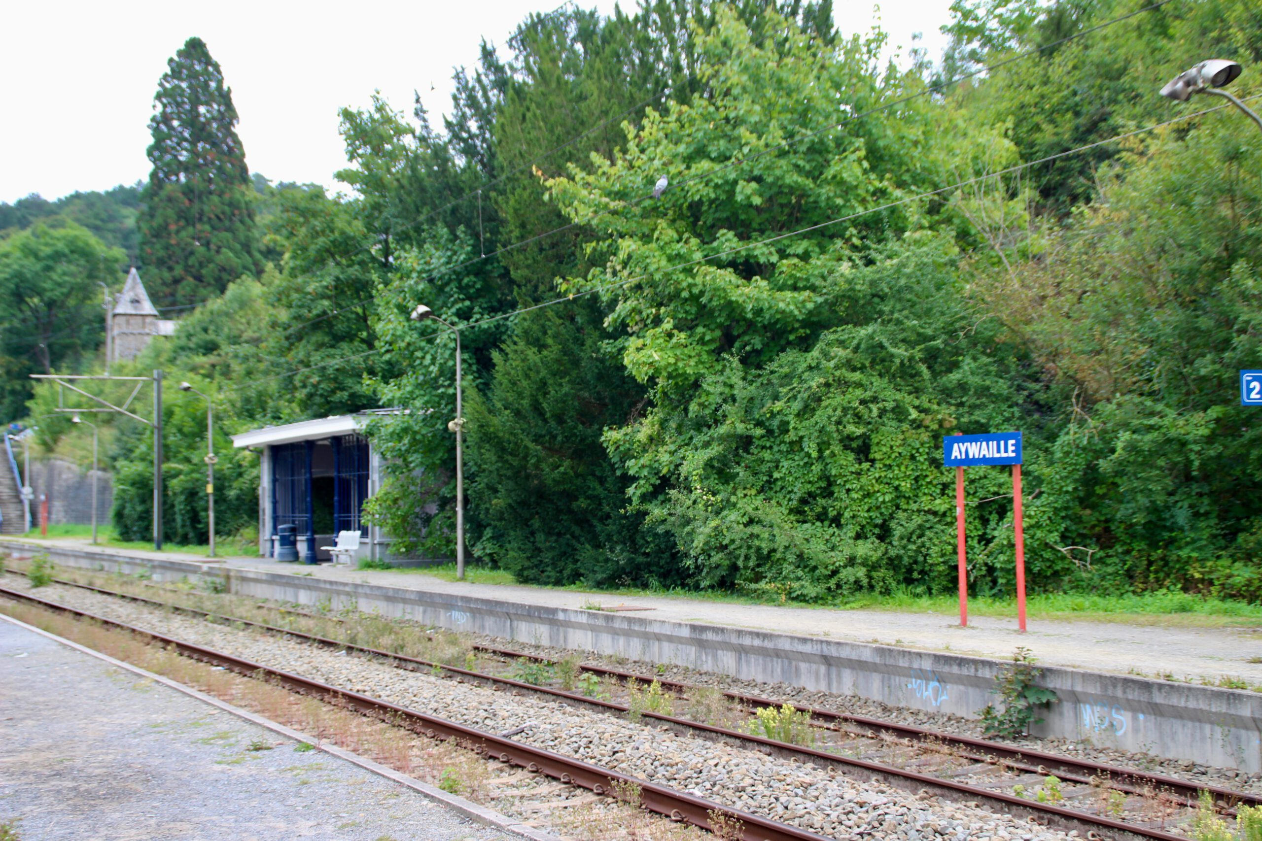 Platform view at Aywaille Train Station showing the blue station sign surrounded by trees and quiet regional railway tracks