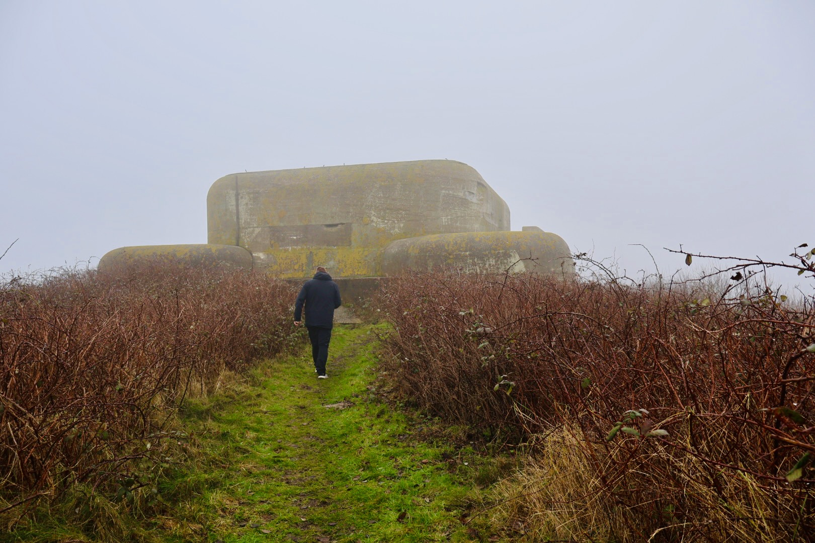 Walking Kornwerderzand toward Kazemat V, overgrown path leading to a WWII bunker in foggy winter conditions
