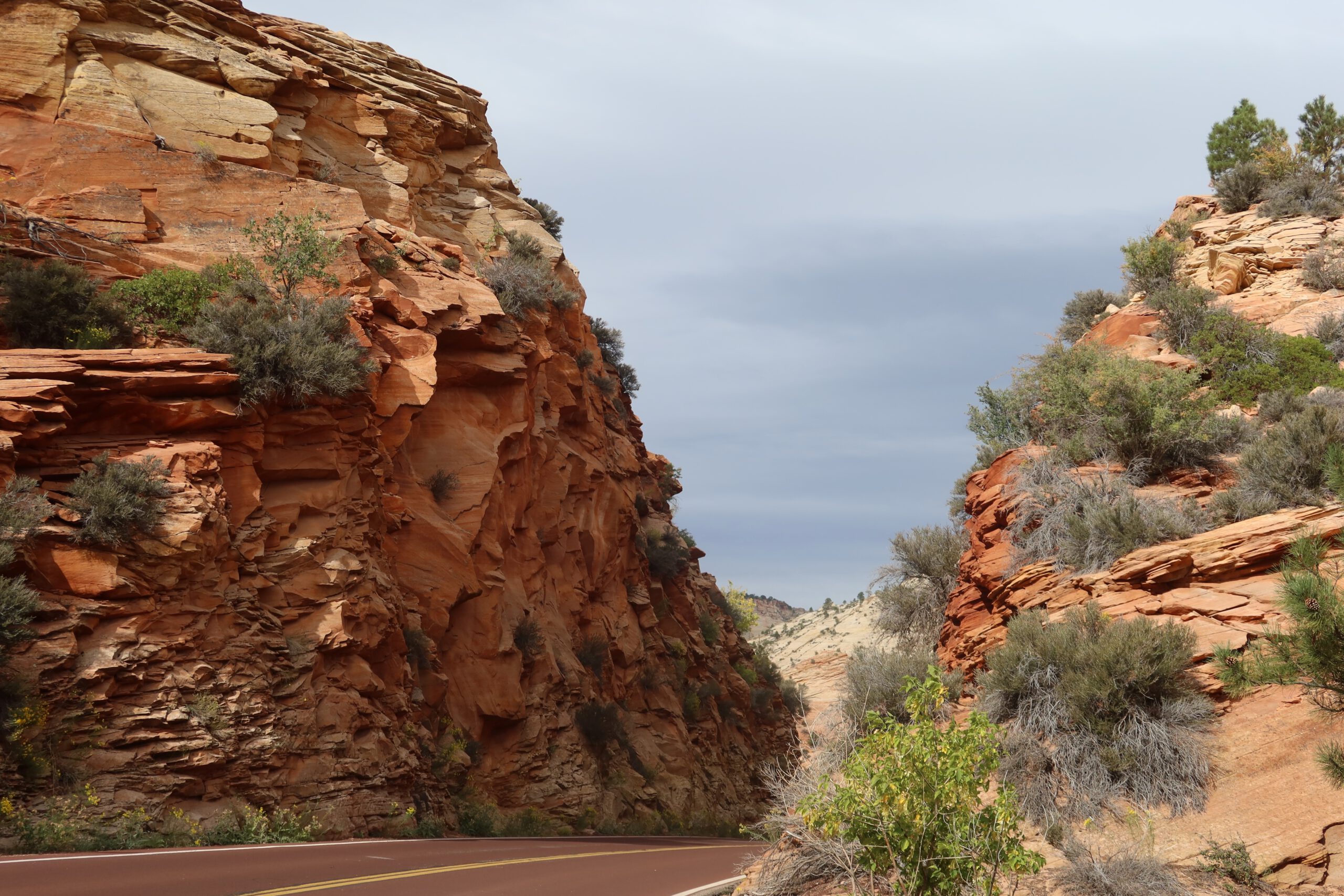Scenic drive through narrow red rock canyon walls along Zion Mount Carmel Highway in Zion National Park