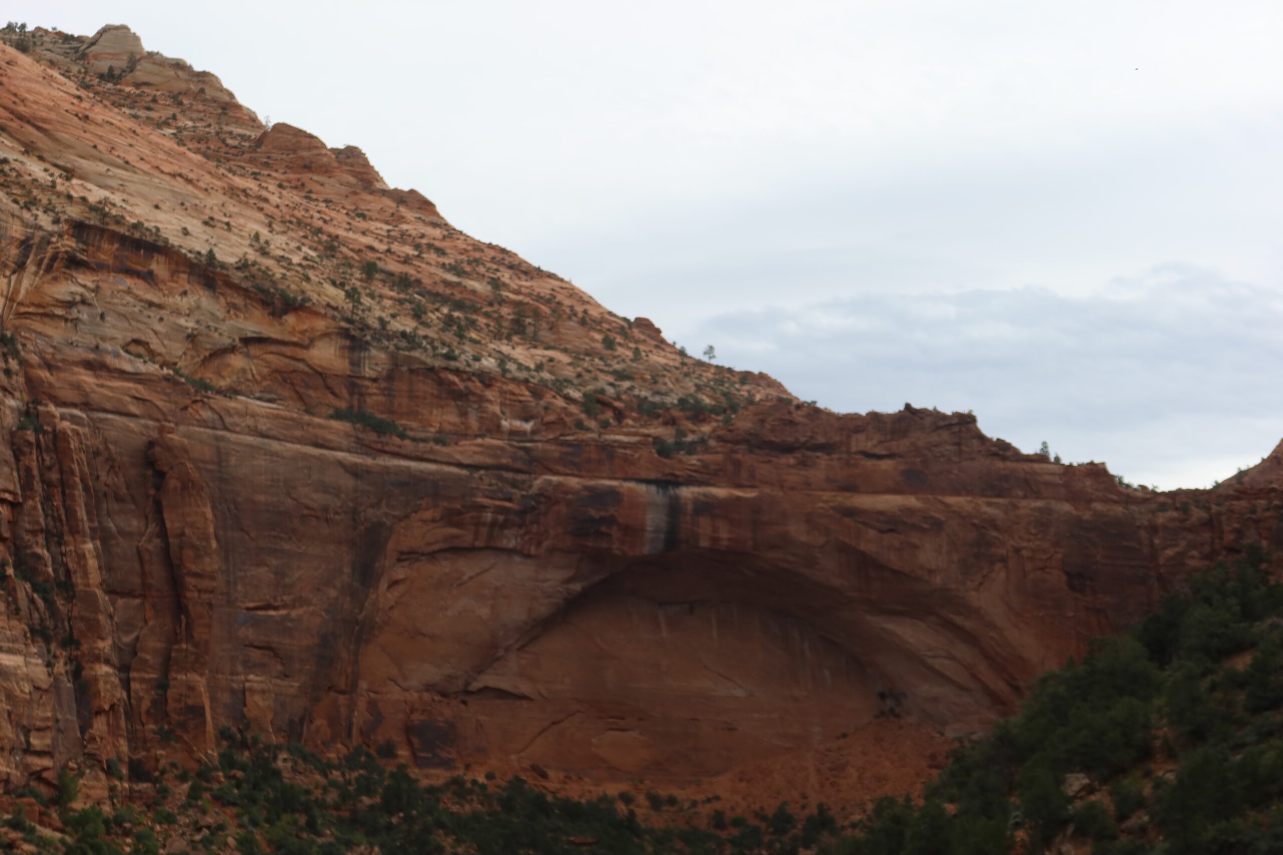 Massive curved sandstone rock formation carved by erosion in Zion National Park, showcasing layered geology and desert colors