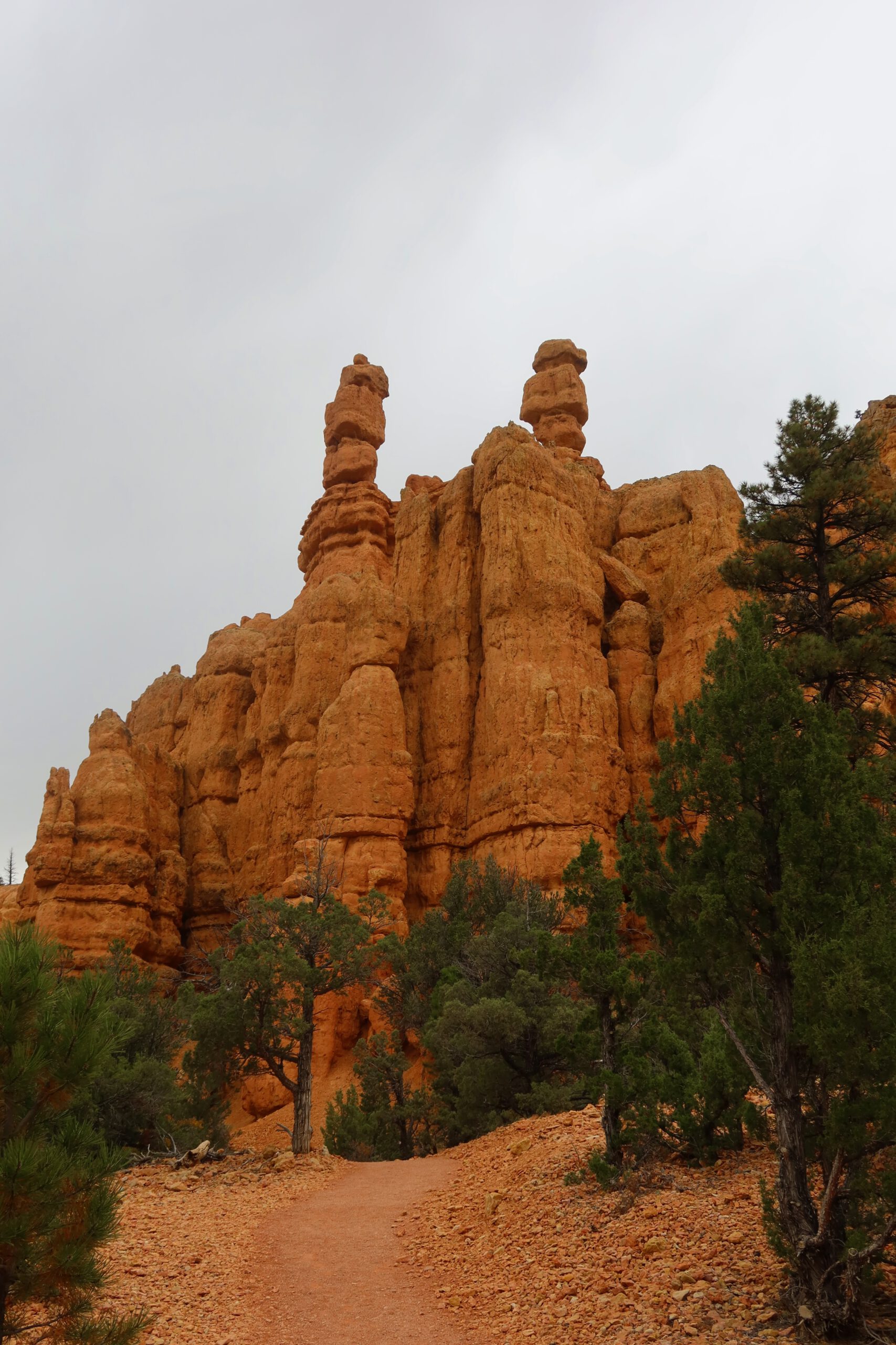 Hiking trail leading toward tall red rock hoodoo formations in Dixie National Forest, Utah, surrounded by pine trees in the Red Canyon area