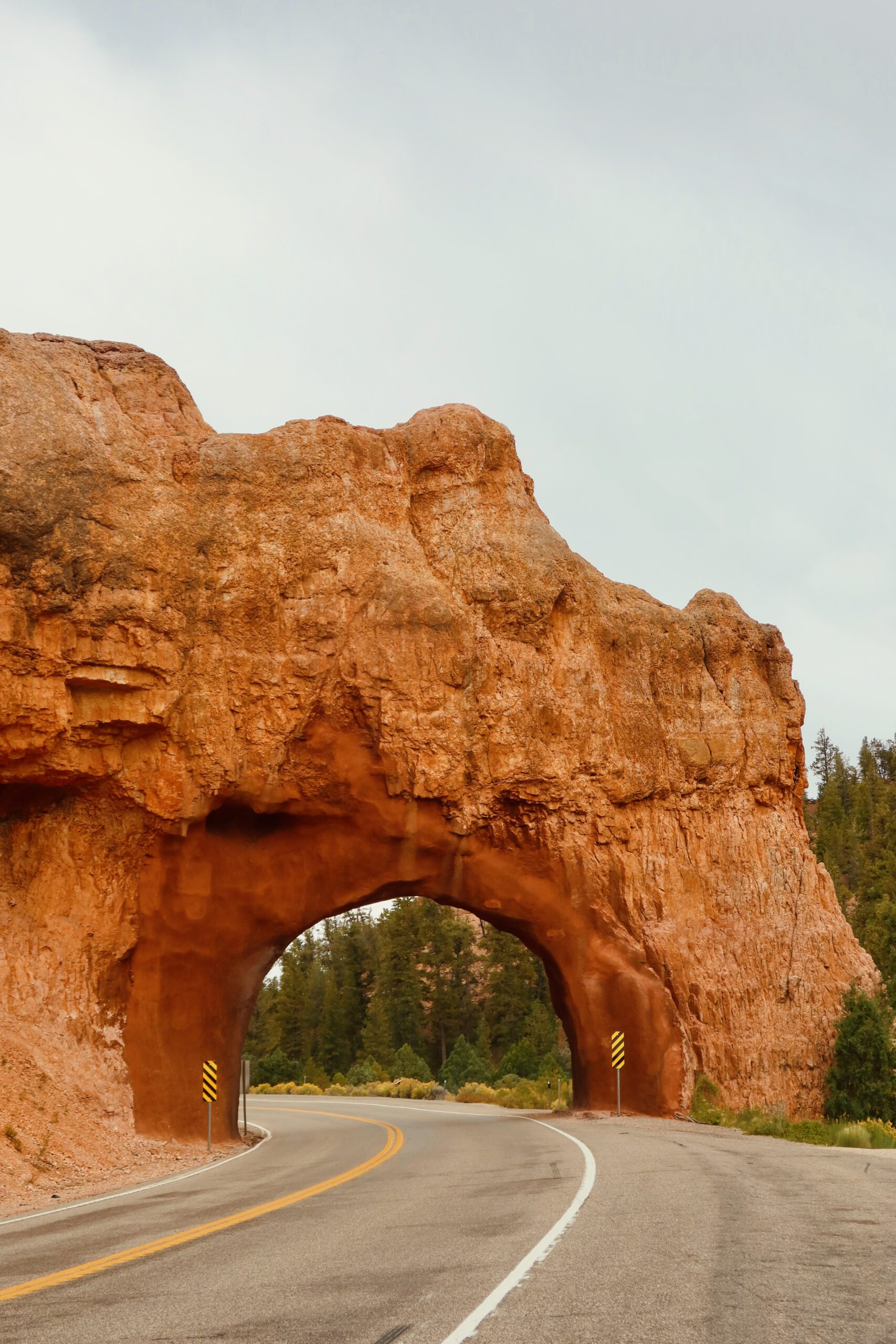 Scenic road passing through a red rock tunnel along Scenic Byway 12 in Dixie National Forest, Utah, showcasing the iconic Red Canyon formations between Bryce Canyon and Zion