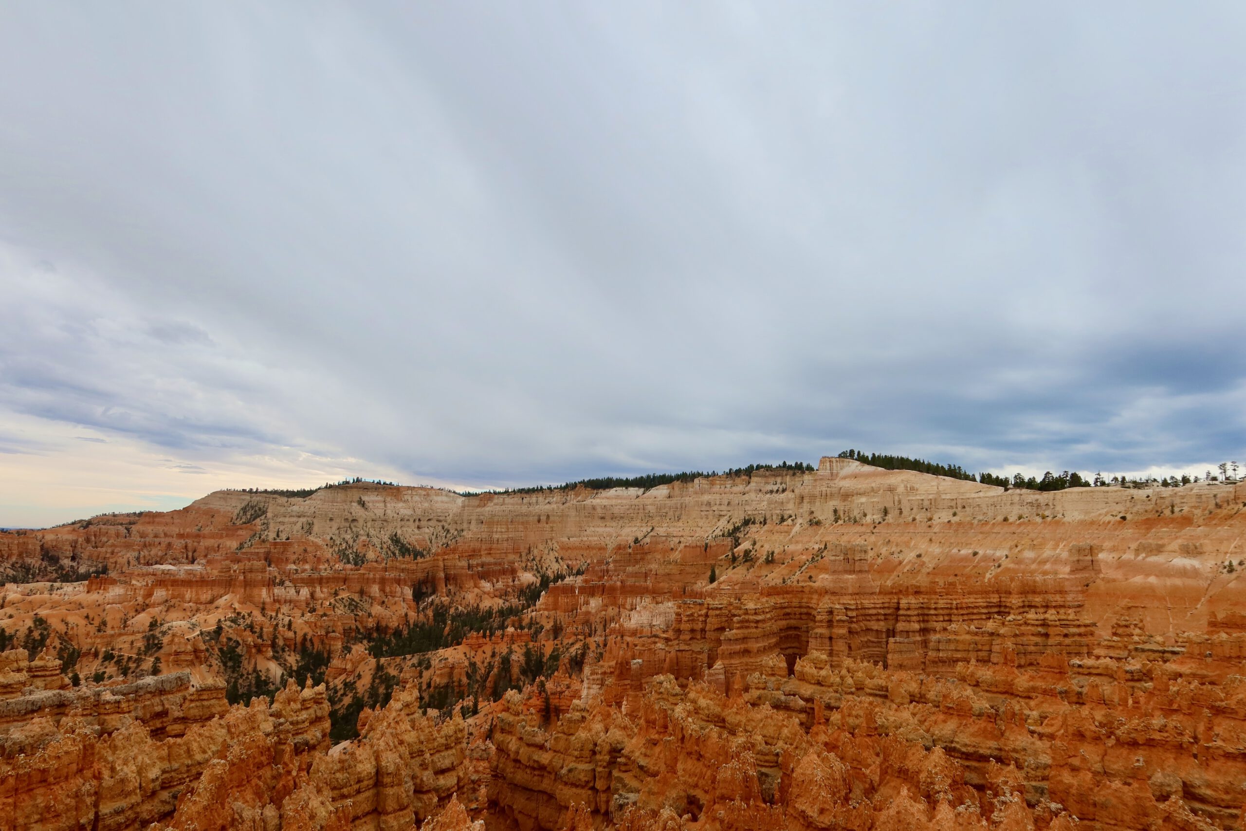 Wide view across Bryce Canyon National Park showing dense hoodoo formations, orange rock layers, and expansive canyon depth