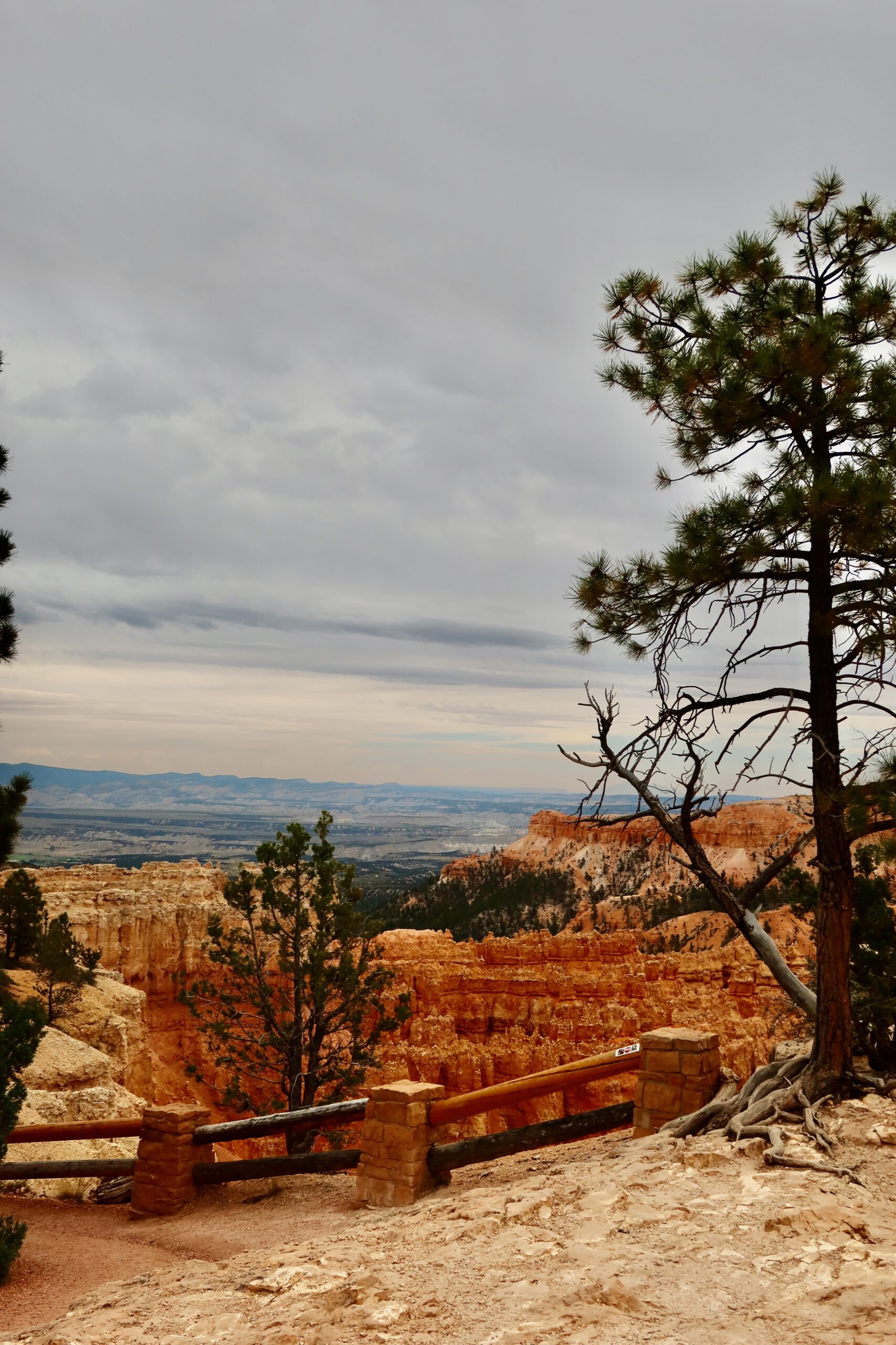 Scenic viewpoint at Bryce Canyon National Park with pine trees, stone railing, and orange hoodoo formations overlooking the vast Utah landscape