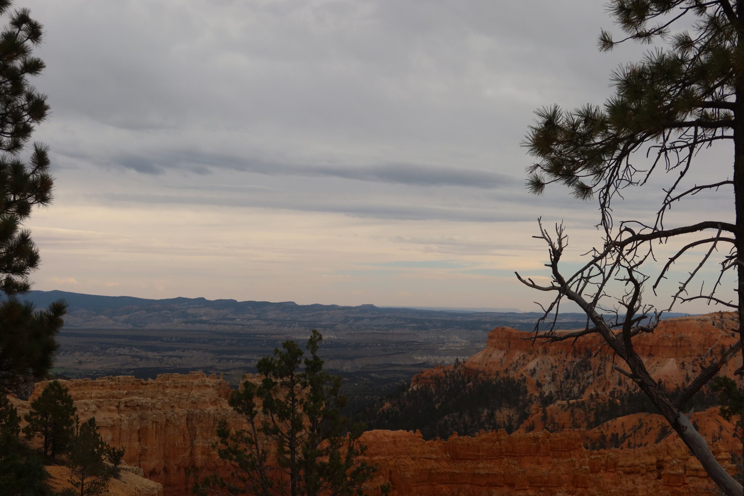 Layered canyon landscape in Bryce Canyon National Park with pine trees, distant plateaus, and dramatic Utah scenery under an overcast sky