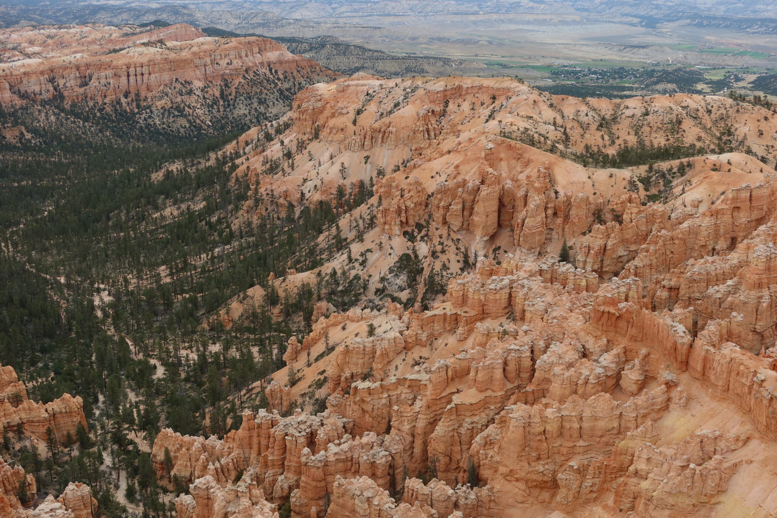 Wide canyon view in Bryce Canyon National Park with layers of orange hoodoos, forested valleys, and expansive Utah landscape stretching into the distance