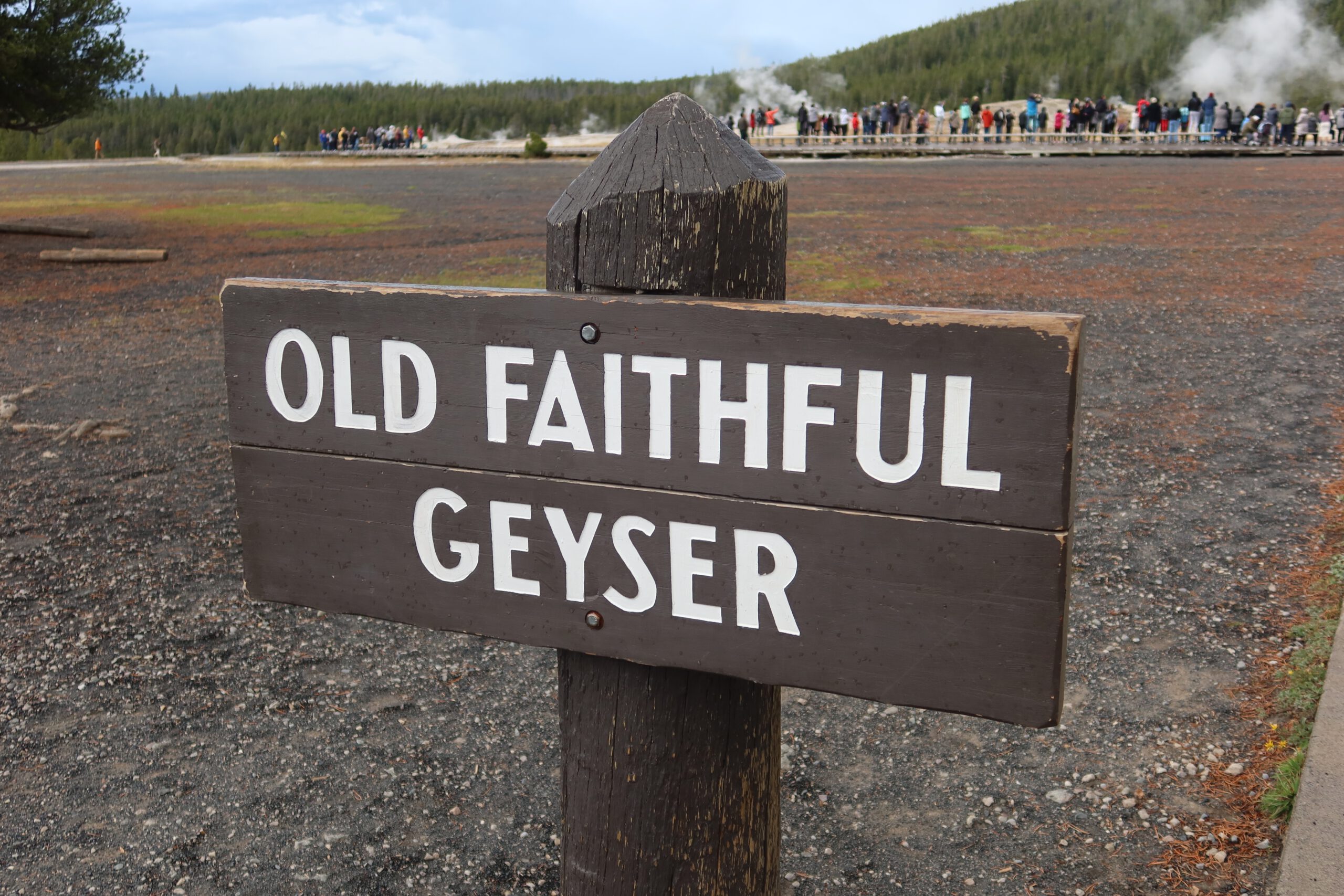 Wooden Old Faithful Geyser sign in Yellowstone National Park, marking the famous geyser area surrounded by geothermal ground and steam vents.