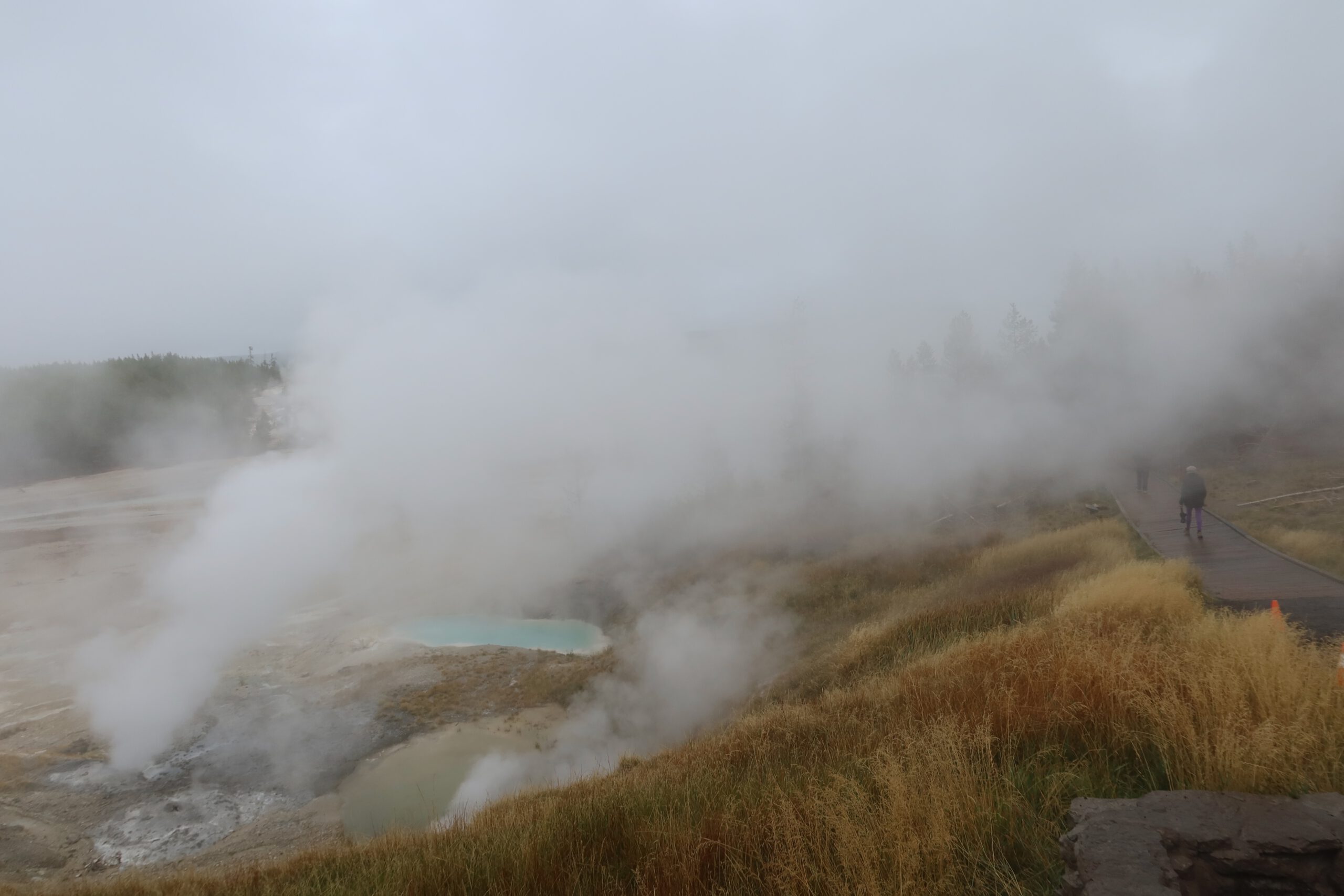 Steaming geothermal area in Yellowstone National Park with boardwalk and visitors, active hot springs surrounded by mist