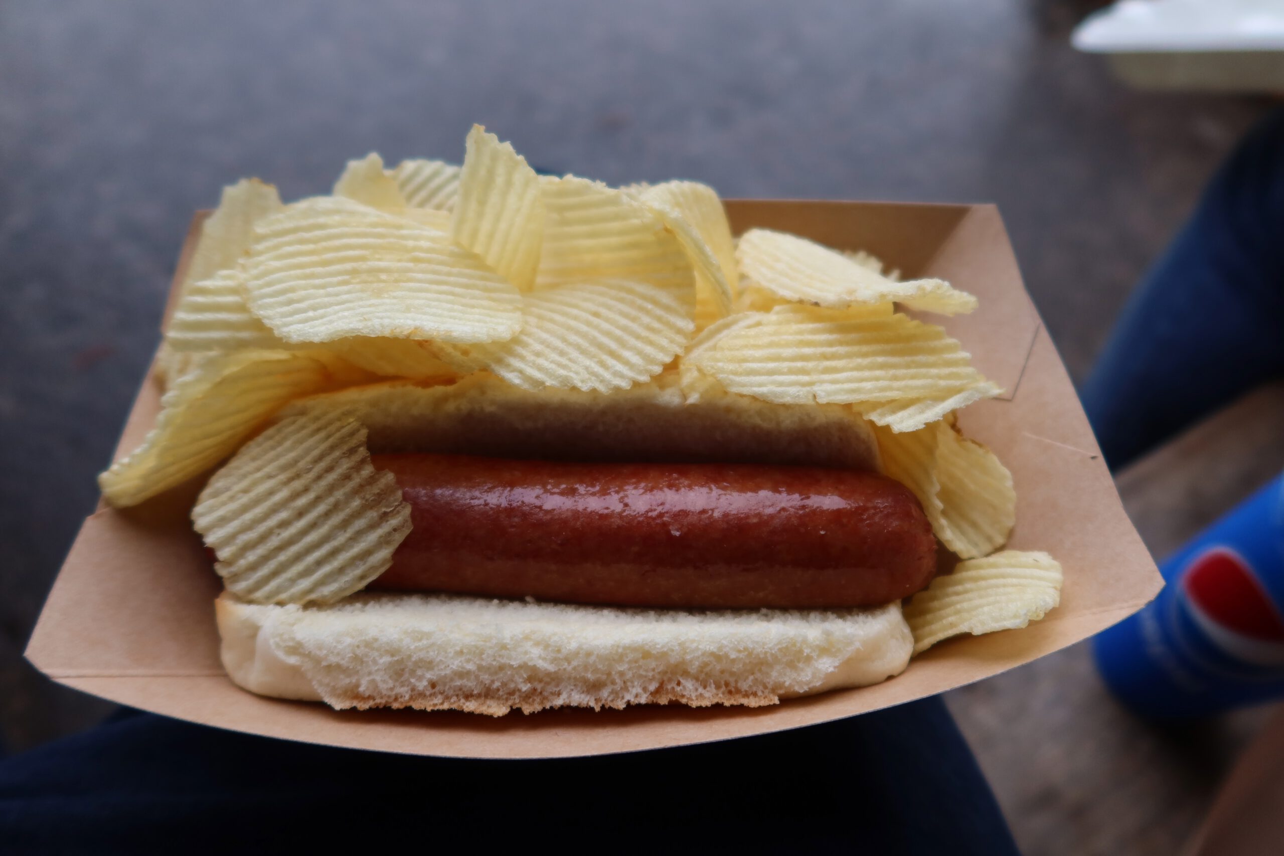 Classic hot dog topped with ridged potato chips in a soft bun, a simple roadside meal during a Yellowstone National Park road trip