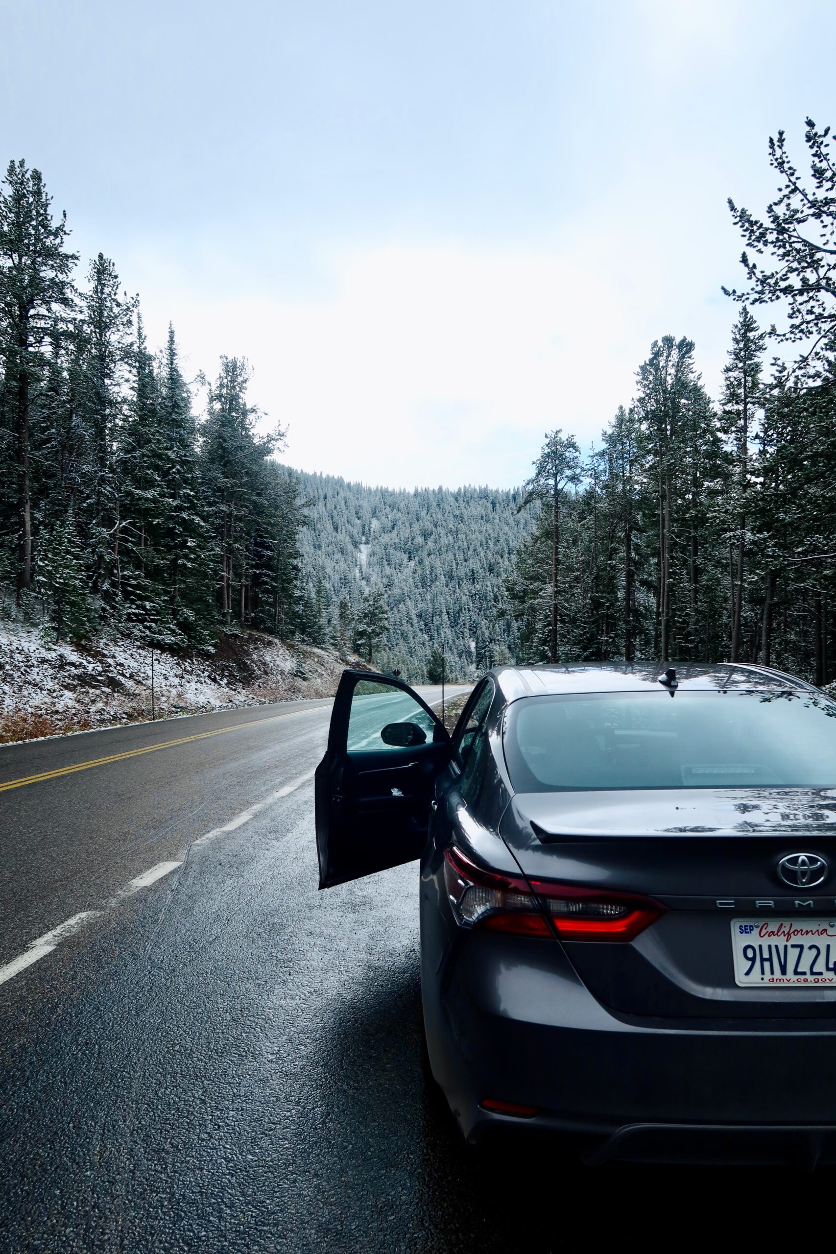 Rental car stopped along a scenic forest road near Yellowstone National Park with fresh snow on pine trees