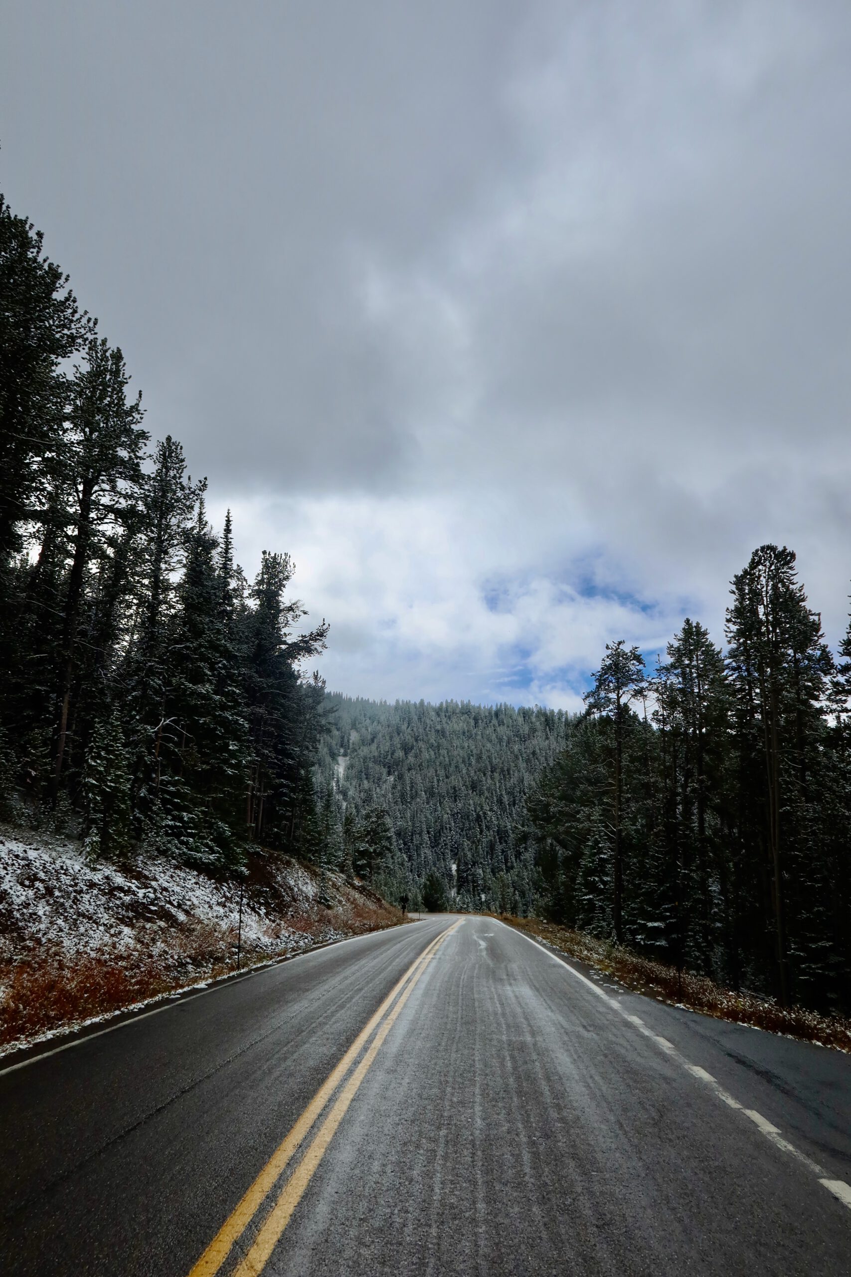 Empty road cutting through a snow-dusted pine forest in Yellowstone National Park, capturing a moody autumn to winter transition with clouds, mountains, and wilderness scenery.