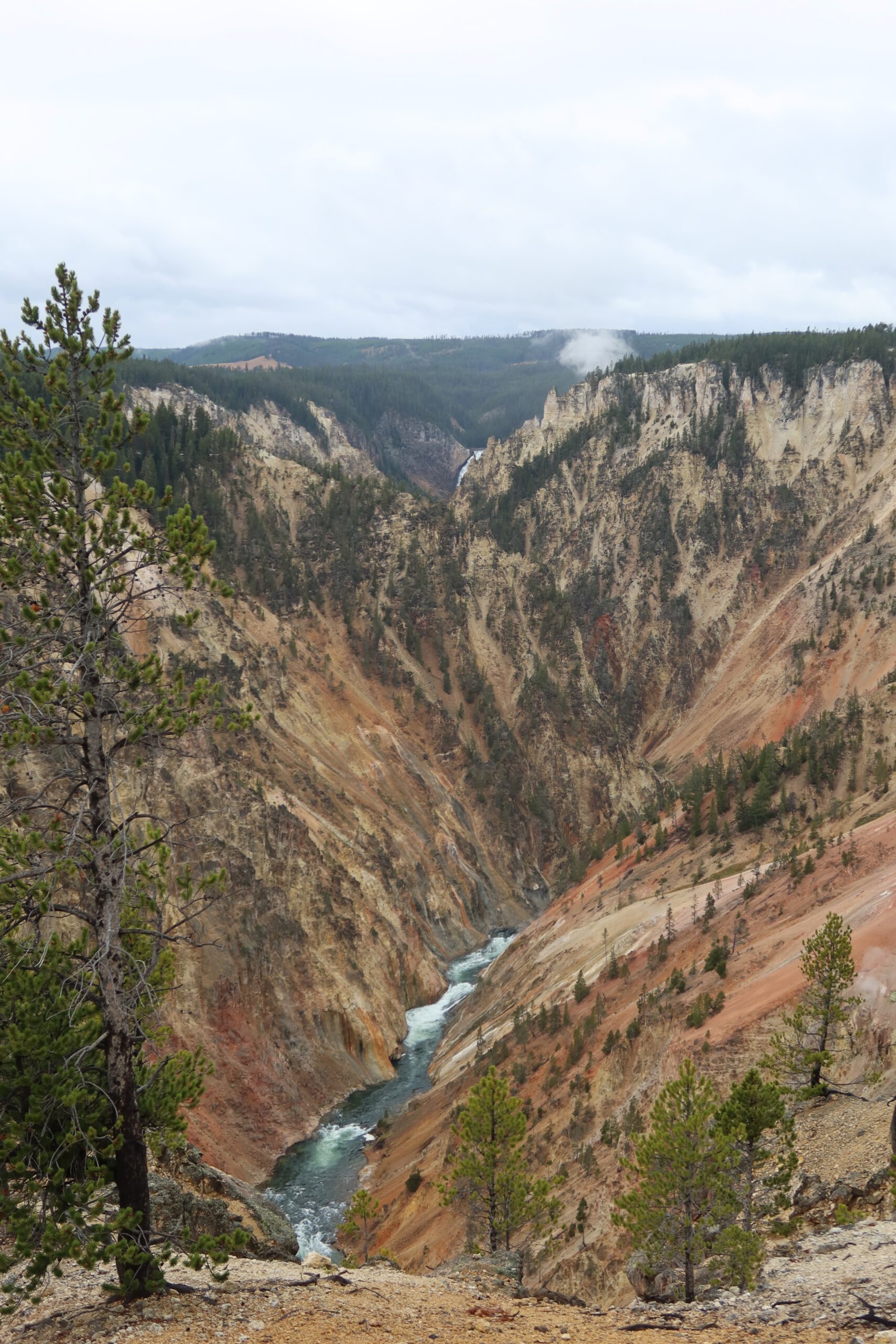 Dramatic view of the Grand Canyon of the Yellowstone with steep colorful canyon walls, a winding river below, and distant waterfalls inside Yellowstone National Park.