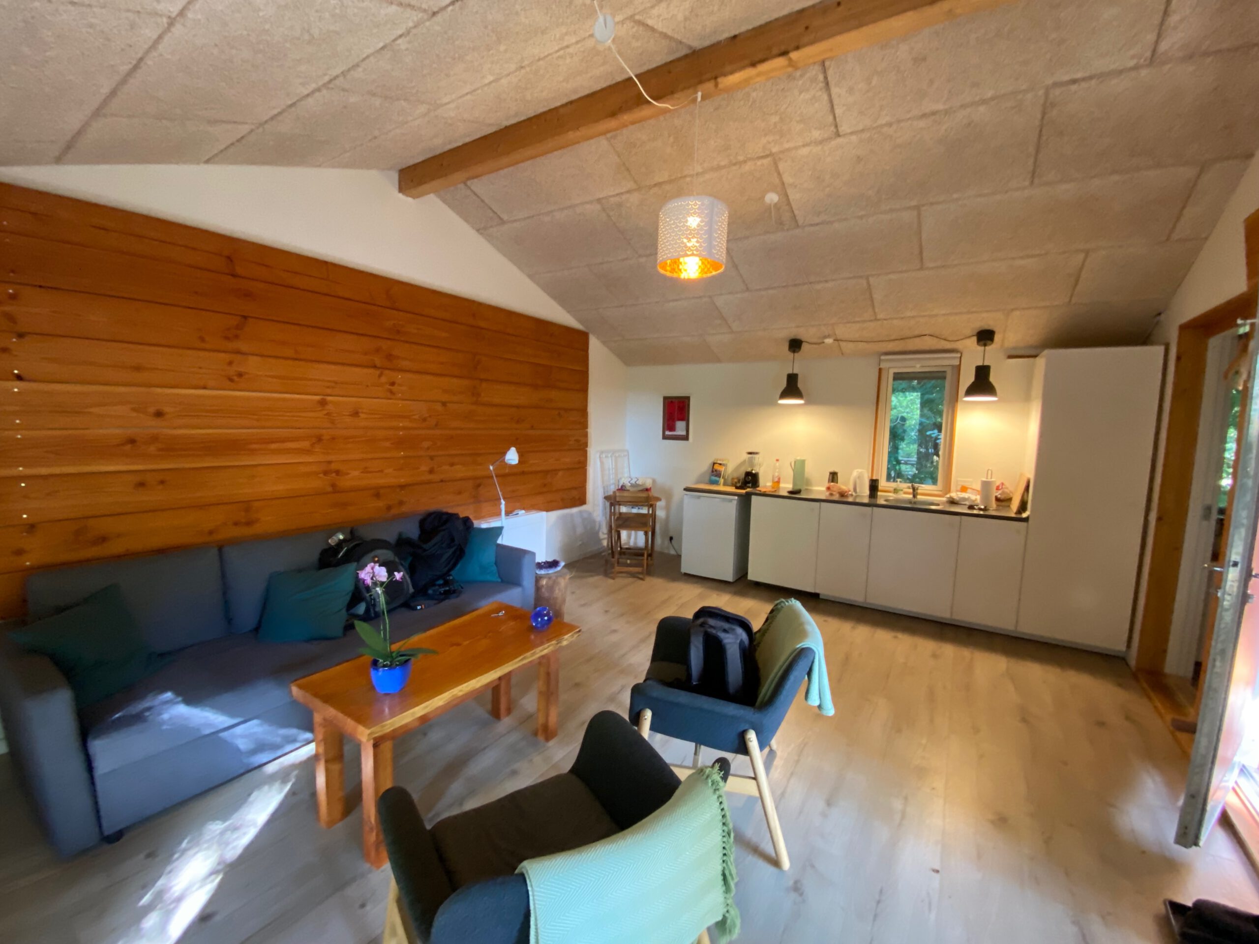 Solevad Cottage in the Forest, cozy living room with wooden walls, sofa and open kitchen inside a tiny house surrounded by nature