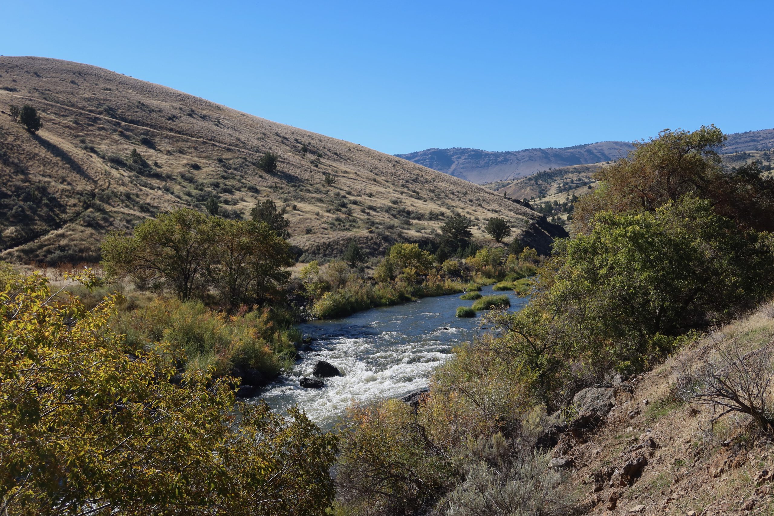Flowing river cutting through a rugged Oregon canyon, surrounded by dry hills, shrubs, and autumn-colored trees under a clear blue sky near the John Day Fossil Beds.