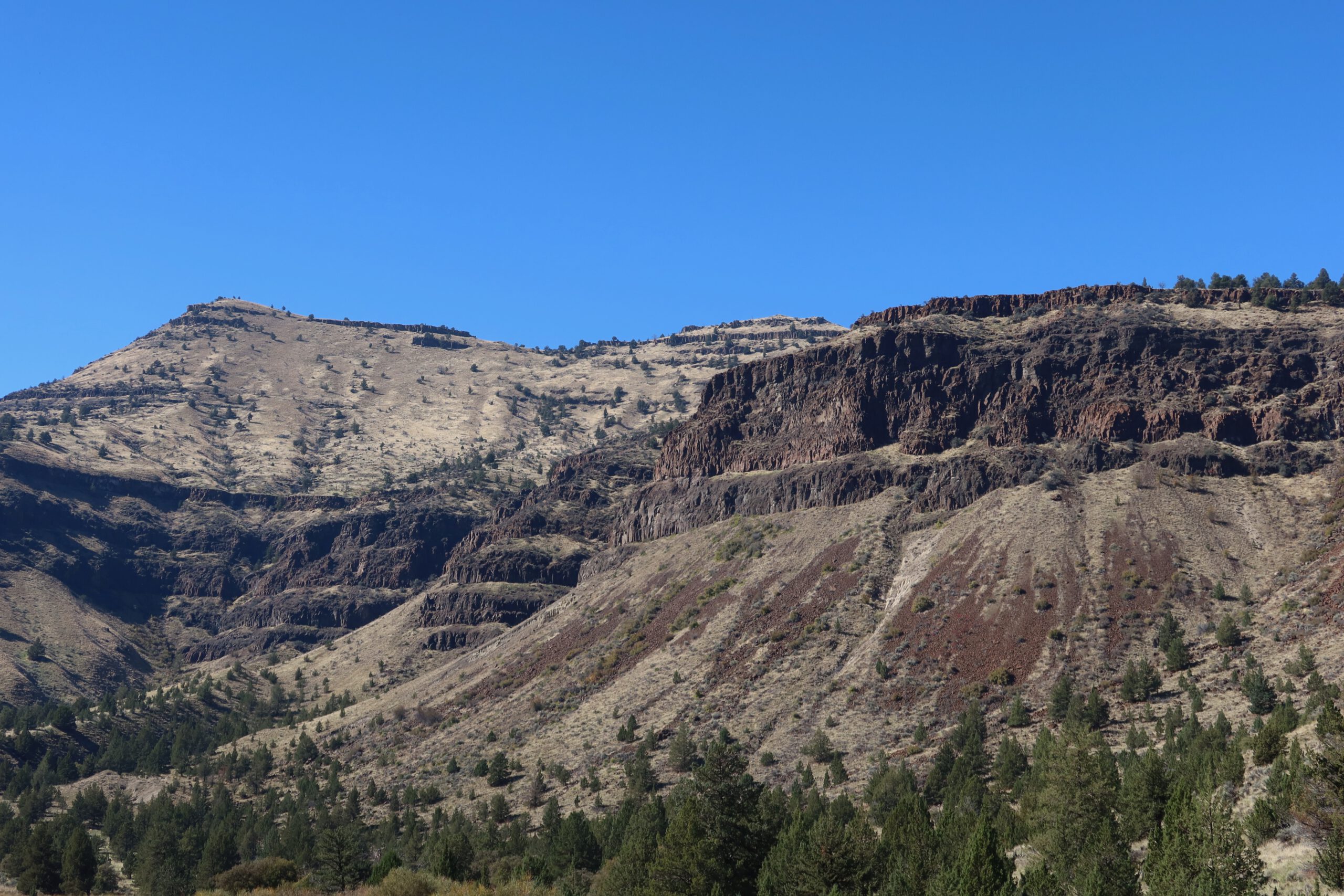 Layered volcanic cliffs and sloping hills within John Day Fossil Beds National Monument, showing dark basalt rock formations, sparse pine trees, and eroded terrain under a clear blue sky