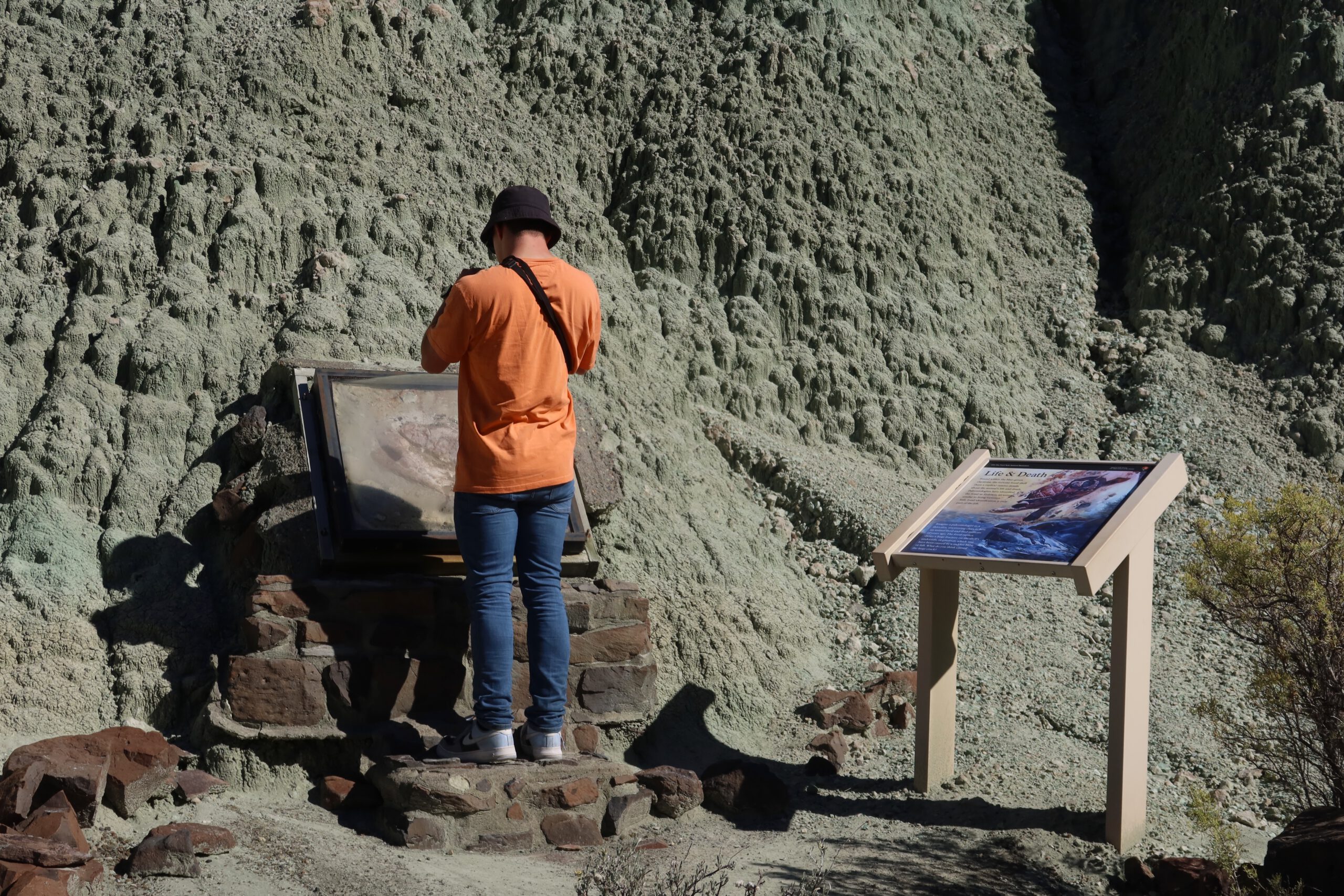 Visitor Peter Smit (AltijdPeter) reading an interpretive fossil display at John Day Fossil Beds National Monument, standing in front of green claystone formations with an educational sign explaining ancient life and geology
