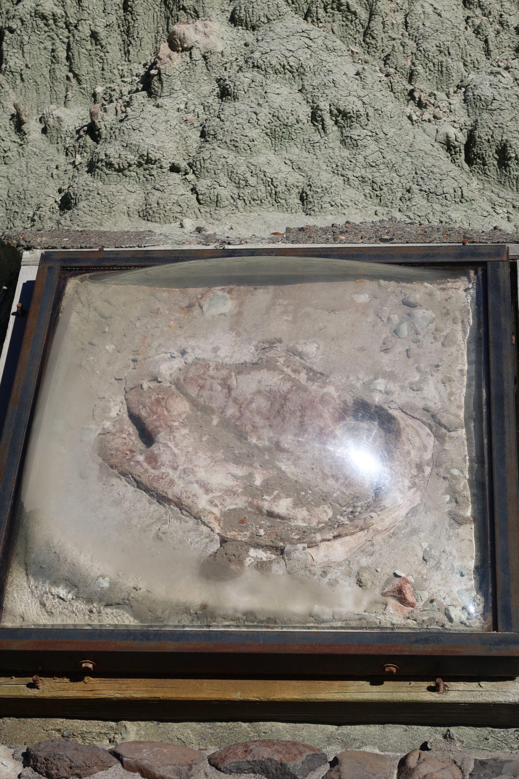 John Day Fossil Beds National Monument fossil display embedded in volcanic ash layers, showcasing preserved prehistoric remains protected under glass in Eastern Oregon