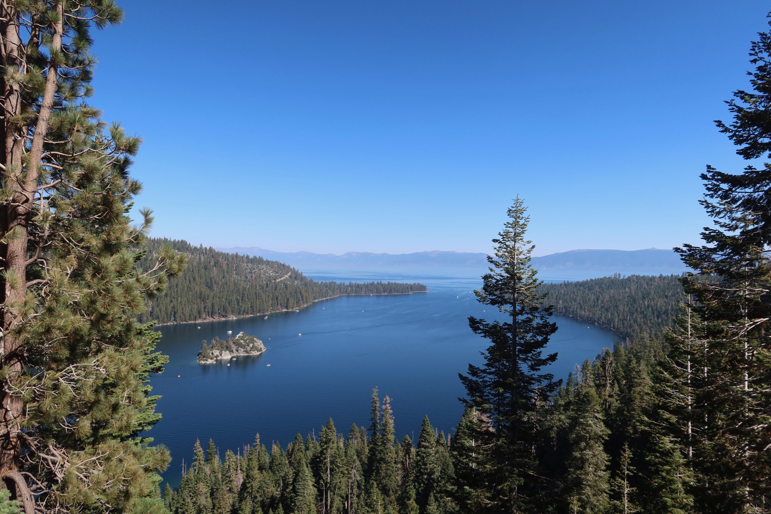 Panoramic view over Lake Tahoe surrounded by dense pine forests and deep blue water, showcasing the iconic alpine landscape of the Sierra Nevada mountains.