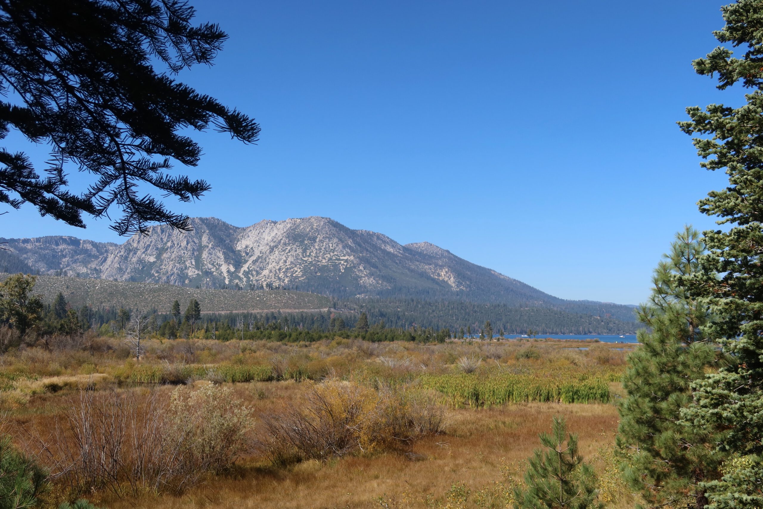 Wide alpine meadow near Lake Tahoe with mountain backdrop and pine trees, showcasing the diverse landscape of the Sierra Nevada region. One of the Lake Tahoe things to do.