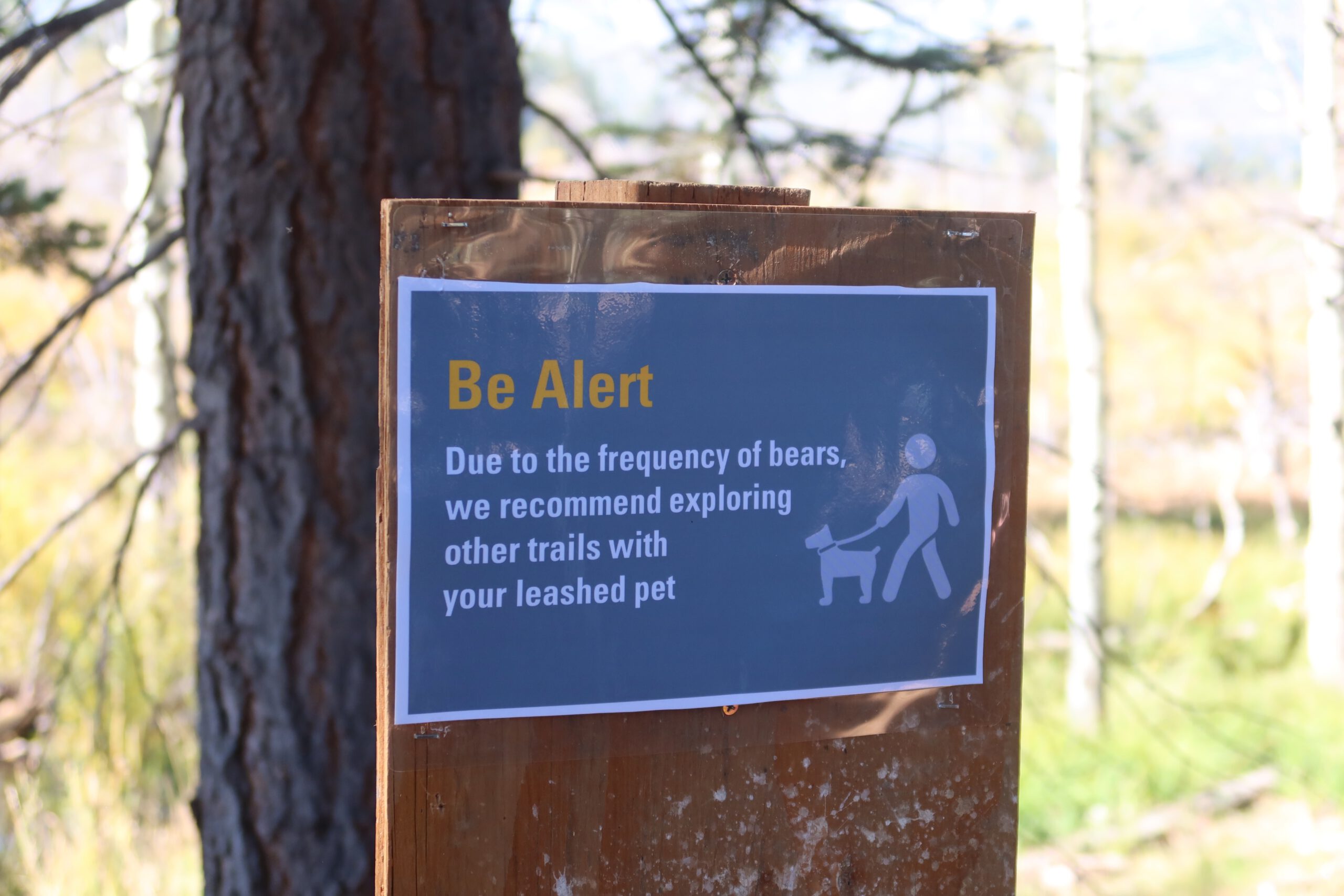 Bear warning sign along a hiking trail near Lake Tahoe, alerting visitors to frequent black bear activity in the Sierra Nevada wilderness.