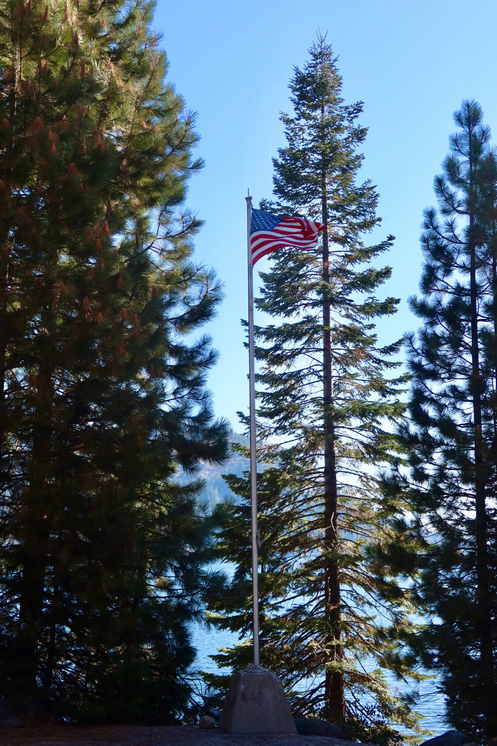 American flag flying among pine trees at Bear River Lake Resort in Amador County, California, overlooking Bear River Lake before the lodge fire