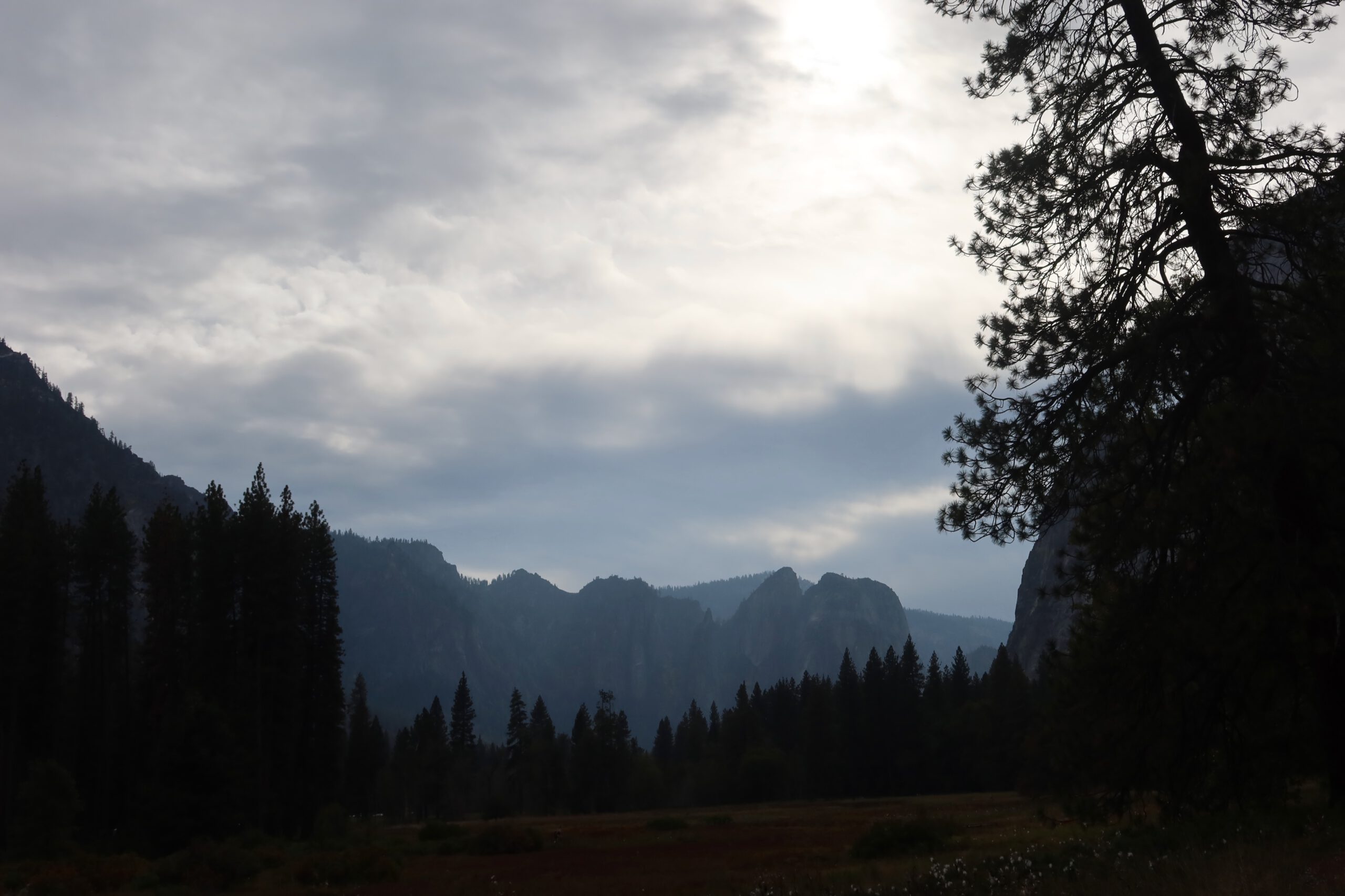 Yosemite National Park moody valley landscape with pine forest granite cliffs and dramatic cloudy sky