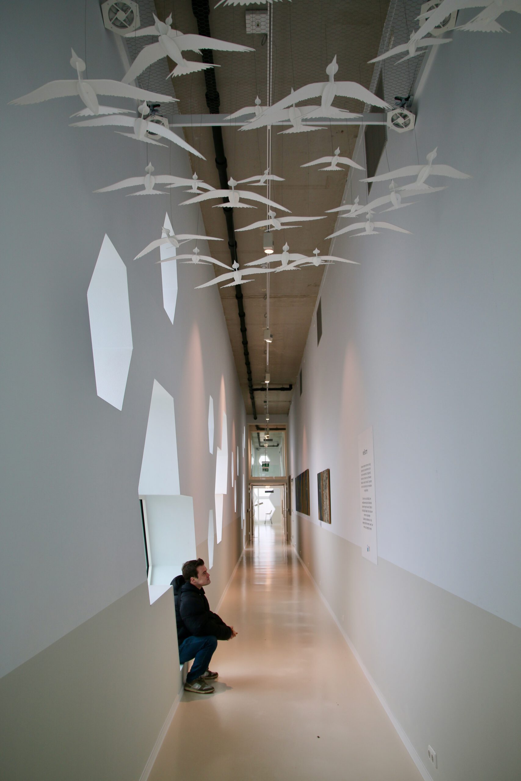 Afsluitdijk Wadden Center interior corridor featuring artistic bird installations and exhibition spaces about nature and water